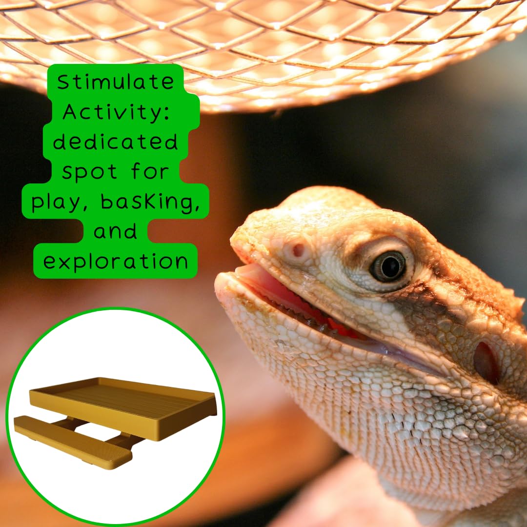 REEFSHAPE Terrarium Picnic Table for Bearded Dragons, Lizards, Geckos, and More! | Platform Accessory for Terrarium Habitats | Made in USA