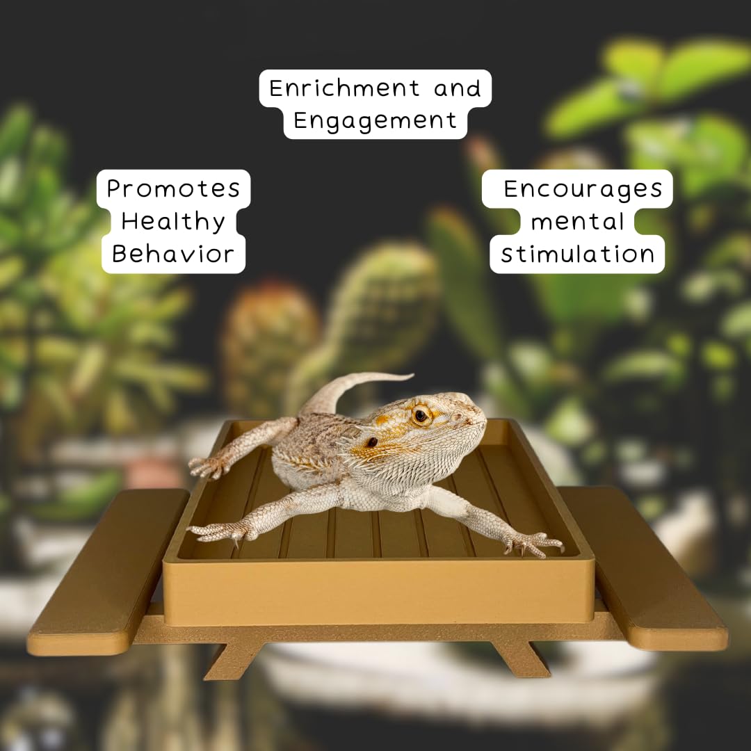 REEFSHAPE Terrarium Picnic Table for Bearded Dragons, Lizards, Geckos, and More! | Platform Accessory for Terrarium Habitats | Made in USA