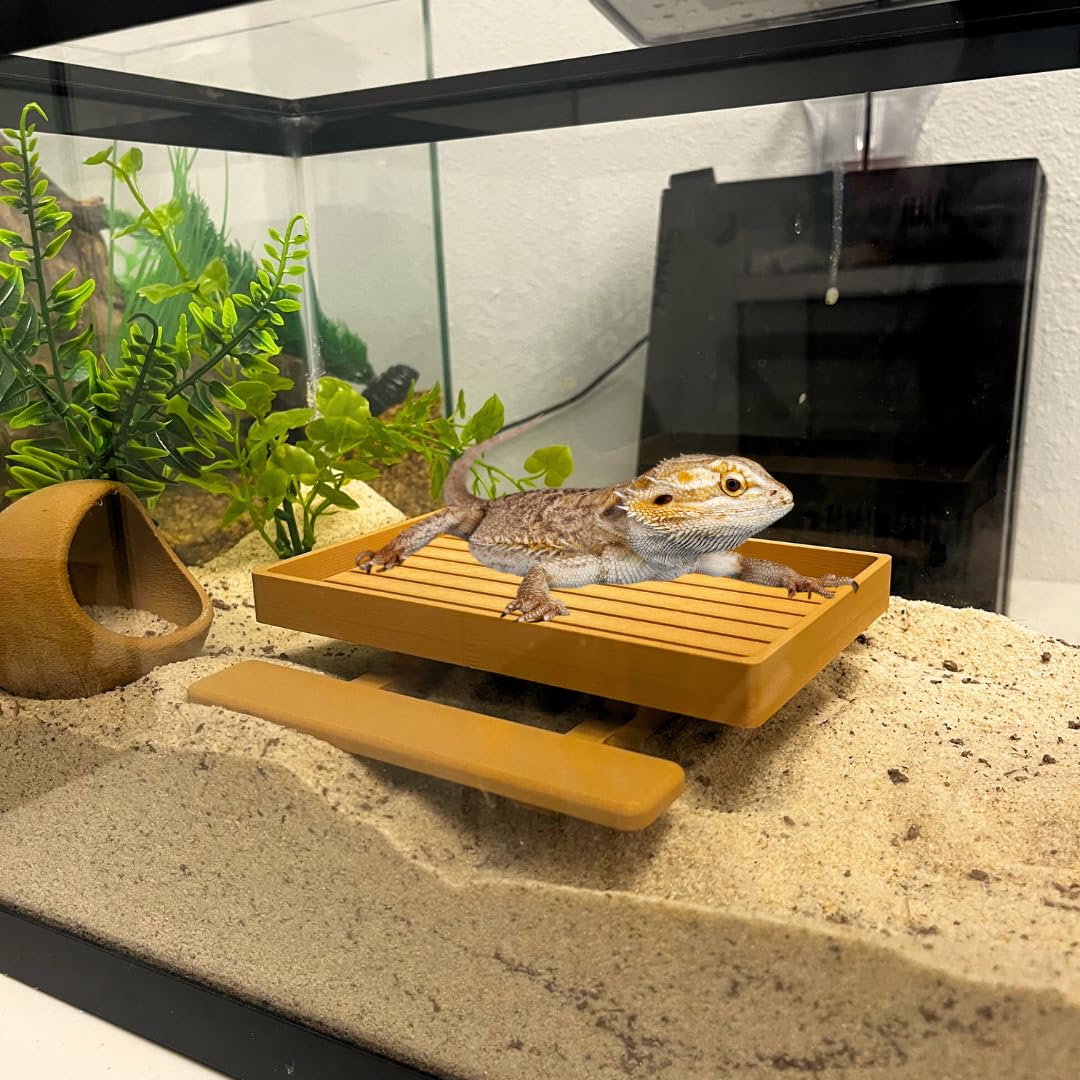 REEFSHAPE Terrarium Picnic Table for Bearded Dragons, Lizards, Geckos, and More! | Platform Accessory for Terrarium Habitats | Made in USA