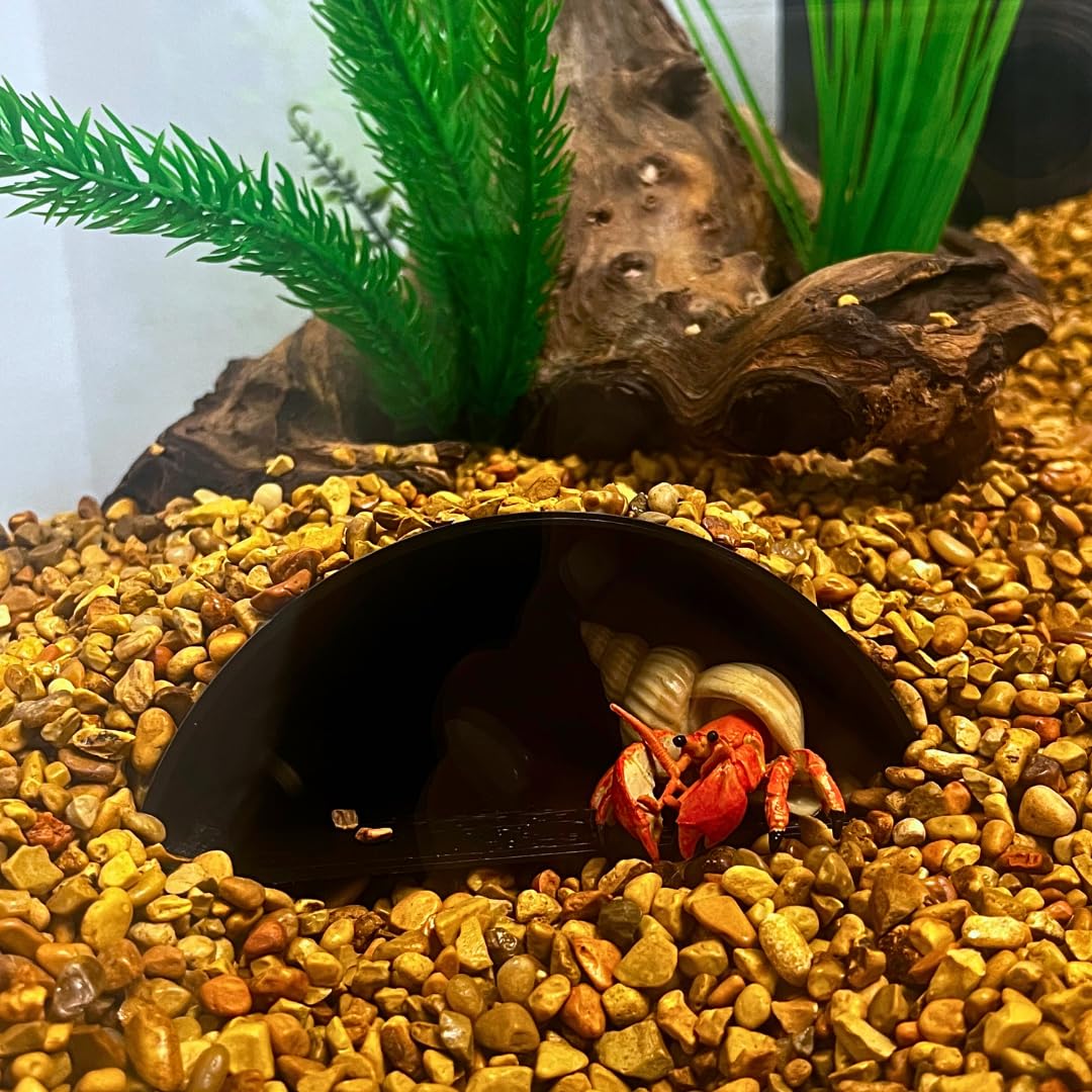 REEFSHAPE Aquarium or Terrarium Pocket Cave | Minimalist Shelter Cave for Fish, Shrimp, Reptiles, Amphibians, & More! | Made in USA