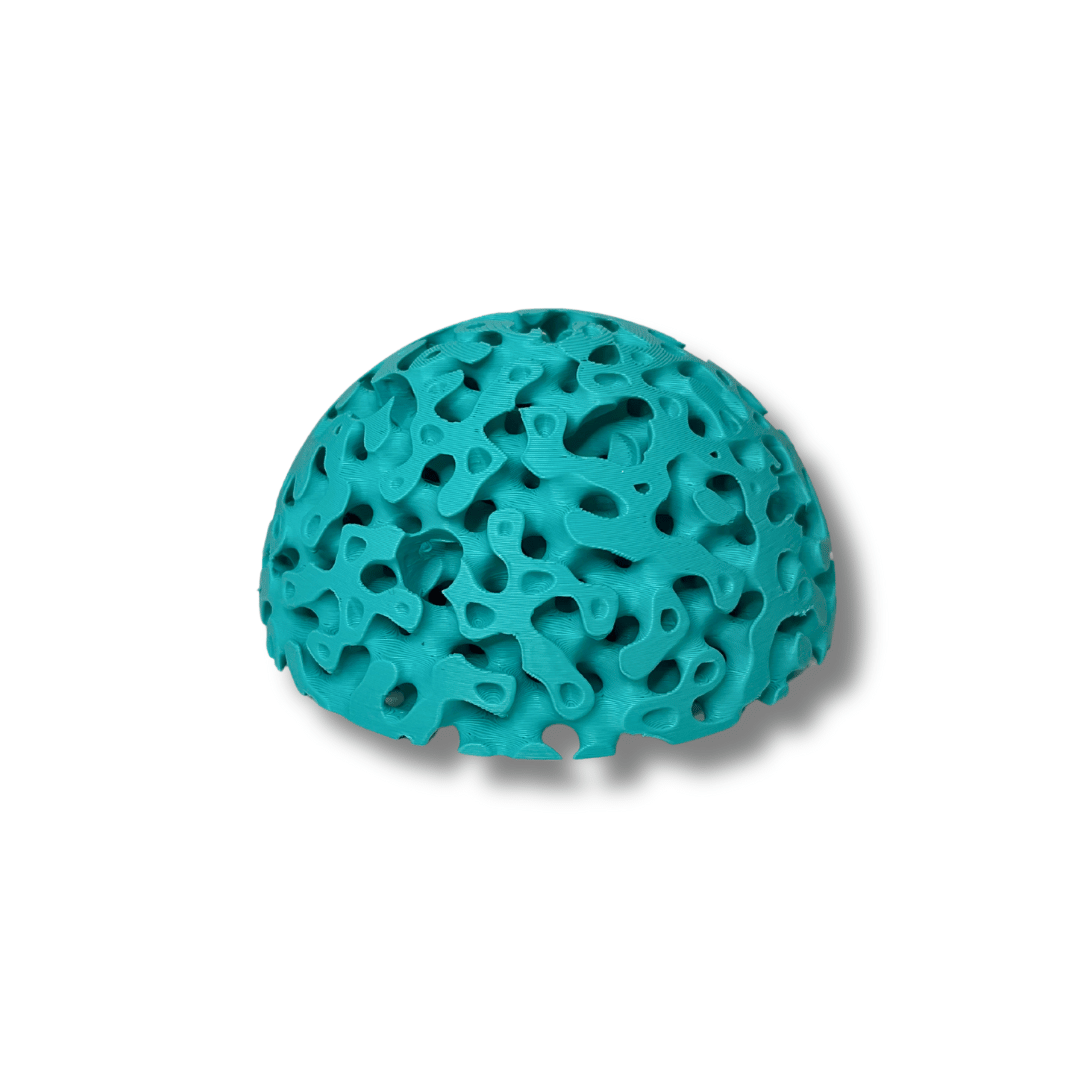 Aquarium Dome Coral Frag Stand | Coral Reef Replica Frag Stand Base for Growing Coral | Displays Multiple Frags