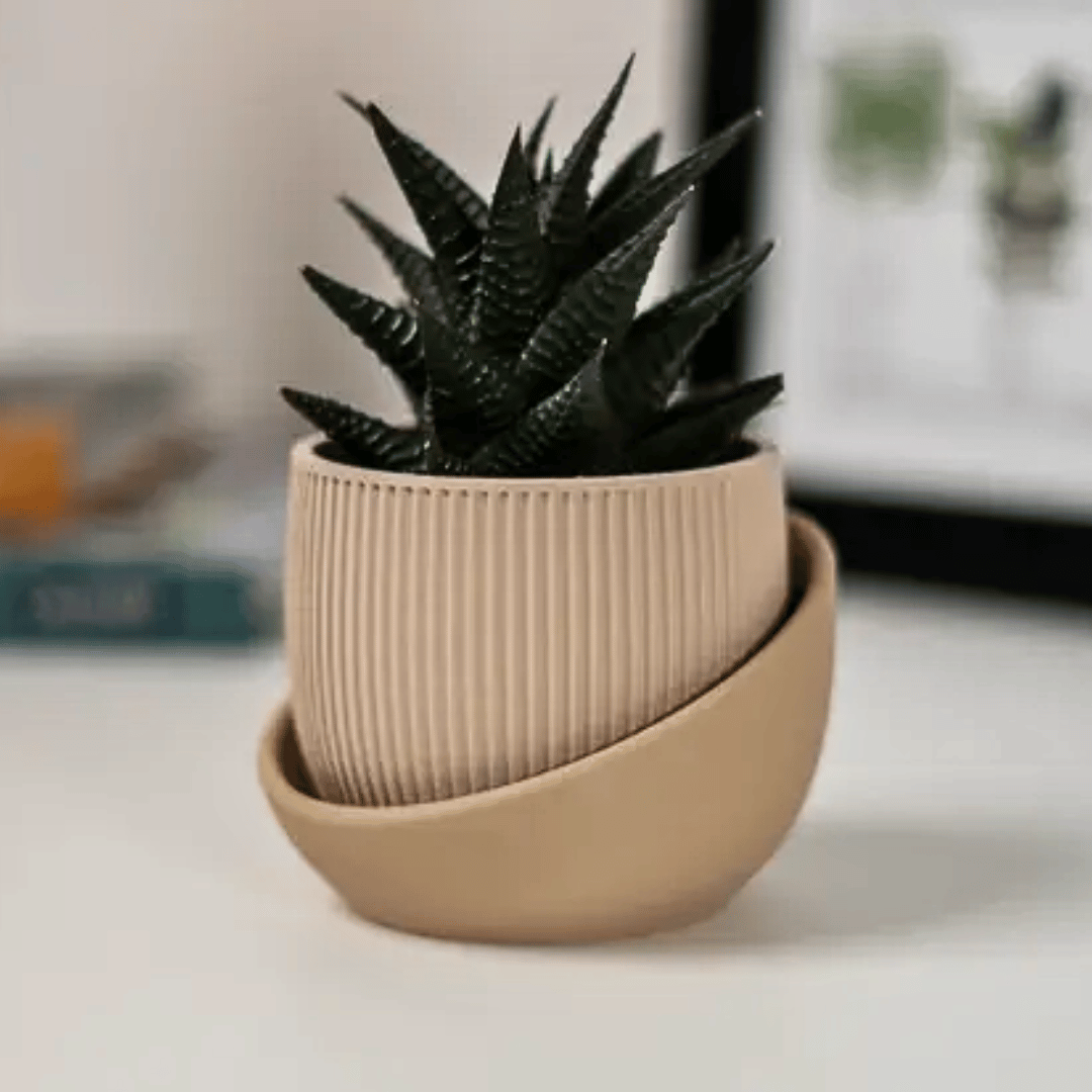 3 pot planter with tray The Eero Planter