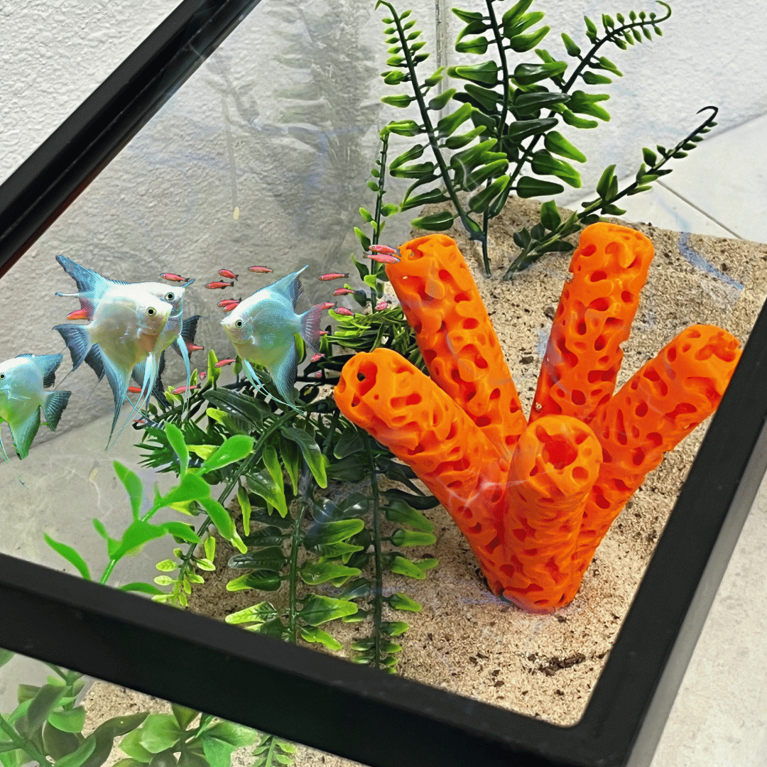 Aquarium Coral Frag Stand Branch | Lattice Coral Structure Branch Design with 5 Frag Mounts