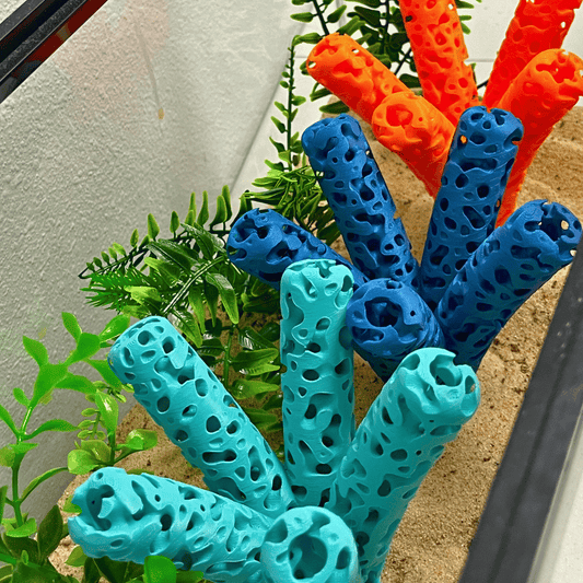 Aquarium Coral Frag Stand Branch | Lattice Coral Structure Branch Design with 5 Frag Mounts