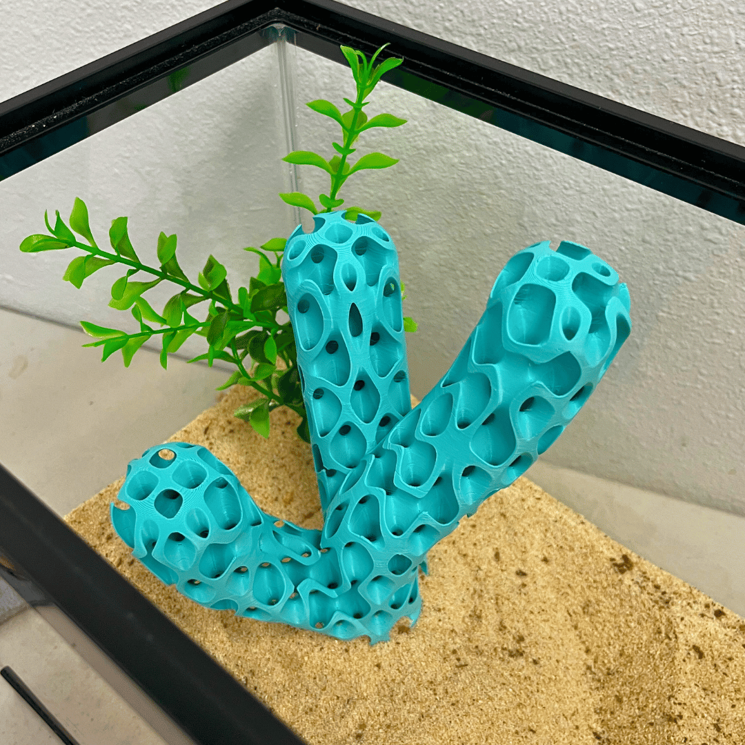Aquatic Branch Haven – Lattice Coral Reef Branch Decor for Fish, Shrimp, & Aquatic Pets