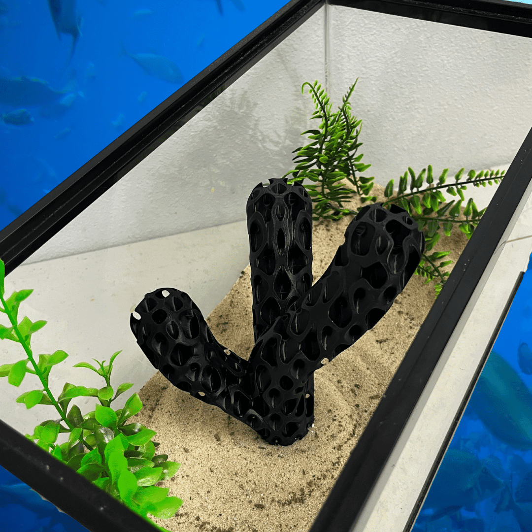 Aquatic Branch Haven – Lattice Coral Reef Branch Decor for Fish, Shrimp, & Aquatic Pets