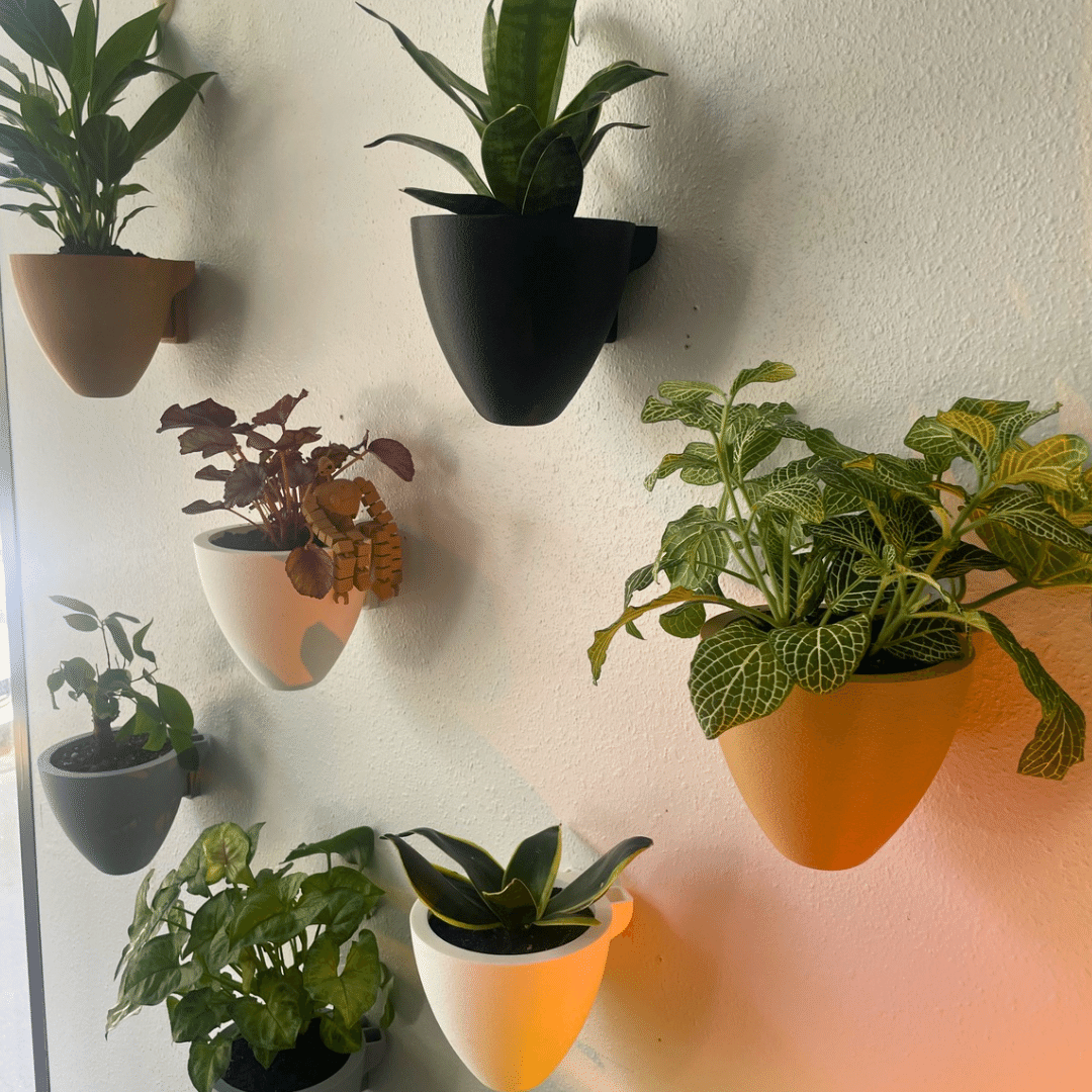 indoor wall hanging plant pots Magic Wall Planters