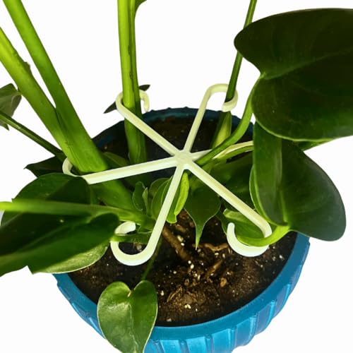 Chatelet Plant Climbers Stem Holders | Unique Design Supports for Growing Plants | 3 Sizes Included for Different Plant Stages | Made in USA 3 Pack, White