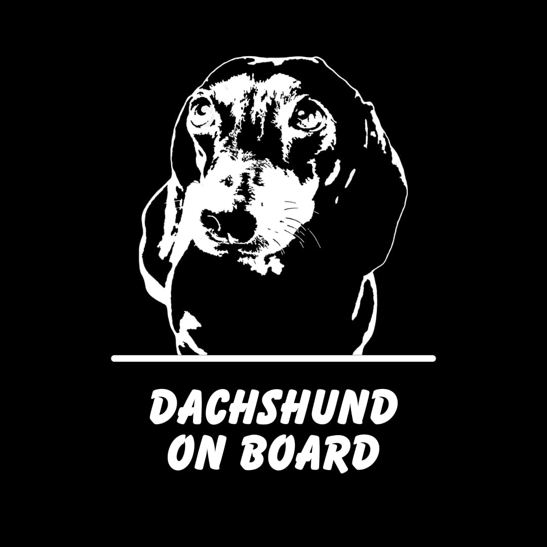 Dog on Board