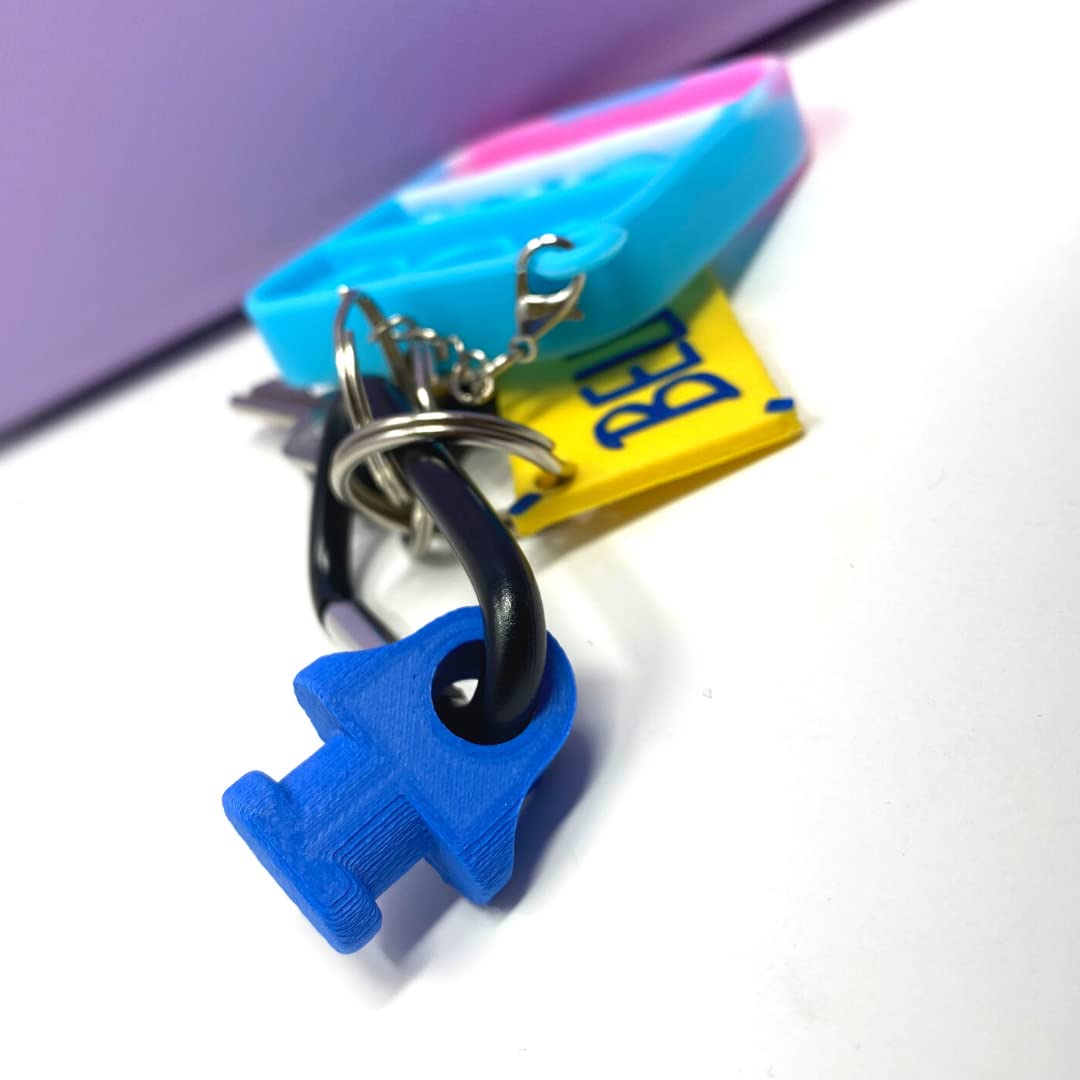BOGLETS - Bogg Bag Carabiner Keys Holder Charm Accessory - Secure & Organize Your Keys or Other Valuables in Your Bogg Bag