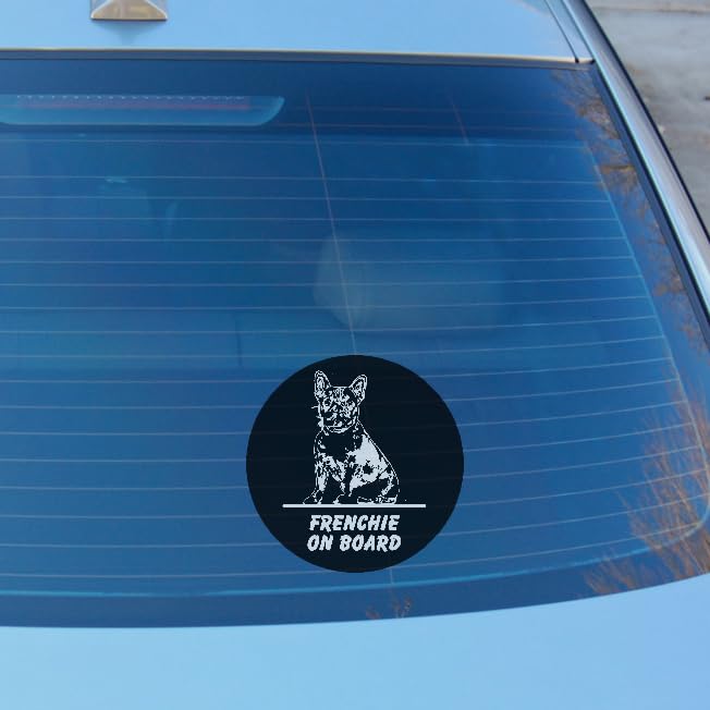 Dog on Board