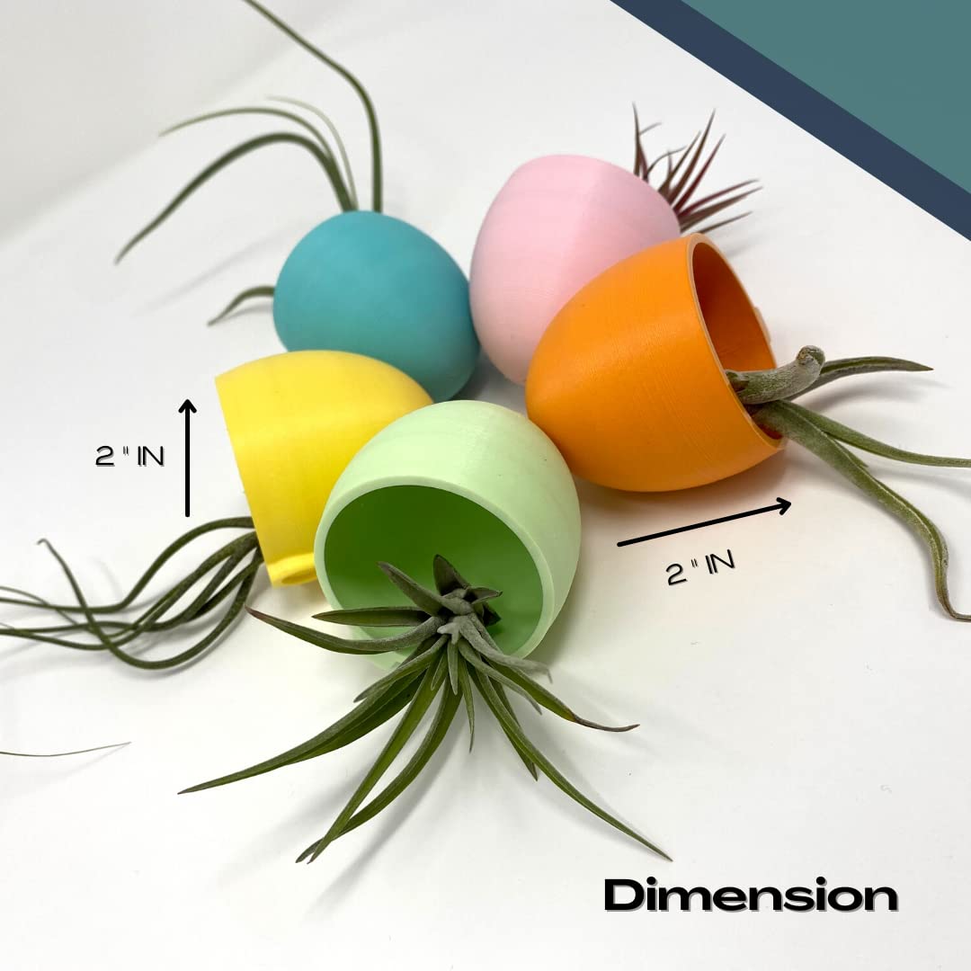 Easter Egg Succulent Fridge Magnet Decoration - Set of 5 with Pastel Blue, Yellow, Orange, Green, Pink