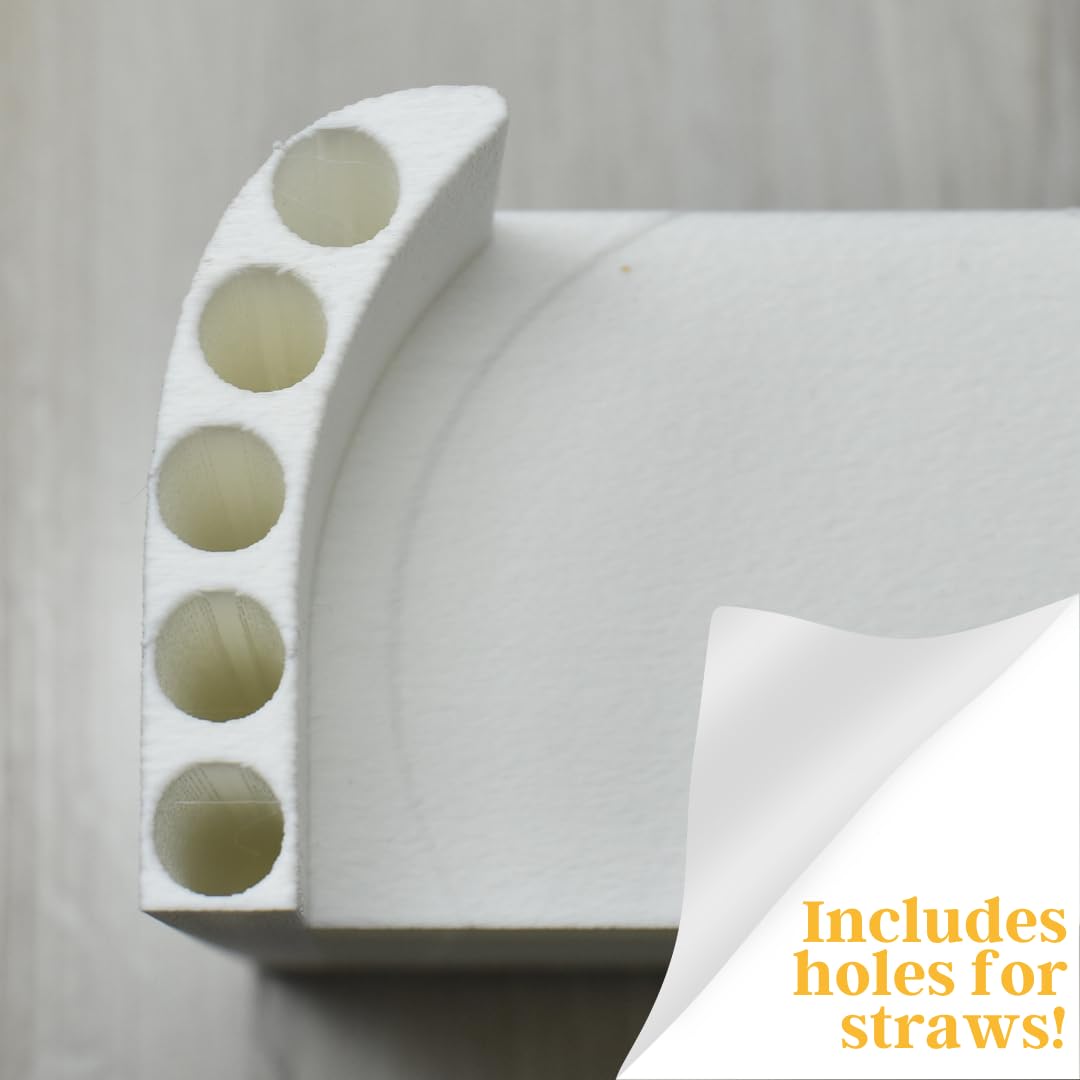 Lid Organizer Compatible With Stanley Cup Lids | 5 Lid Organizer for Cabinets or Kitchen Counter | Includes Straws Storage | Made in USA