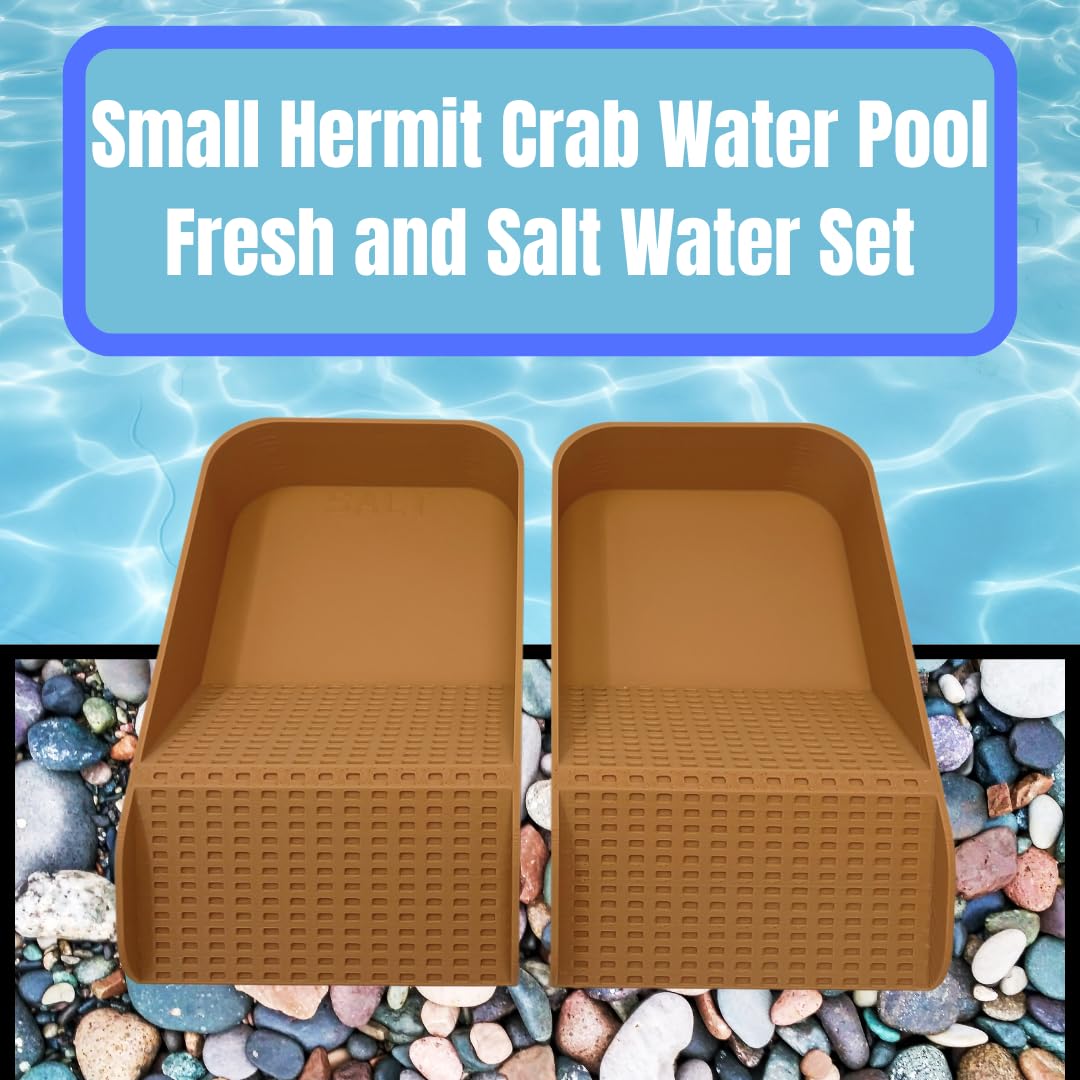 Hermit Crab Watering Pool | Platform Pool Accessory with Access Ramp for Hermit Crabs | 6.5" x 4" | Made in USA