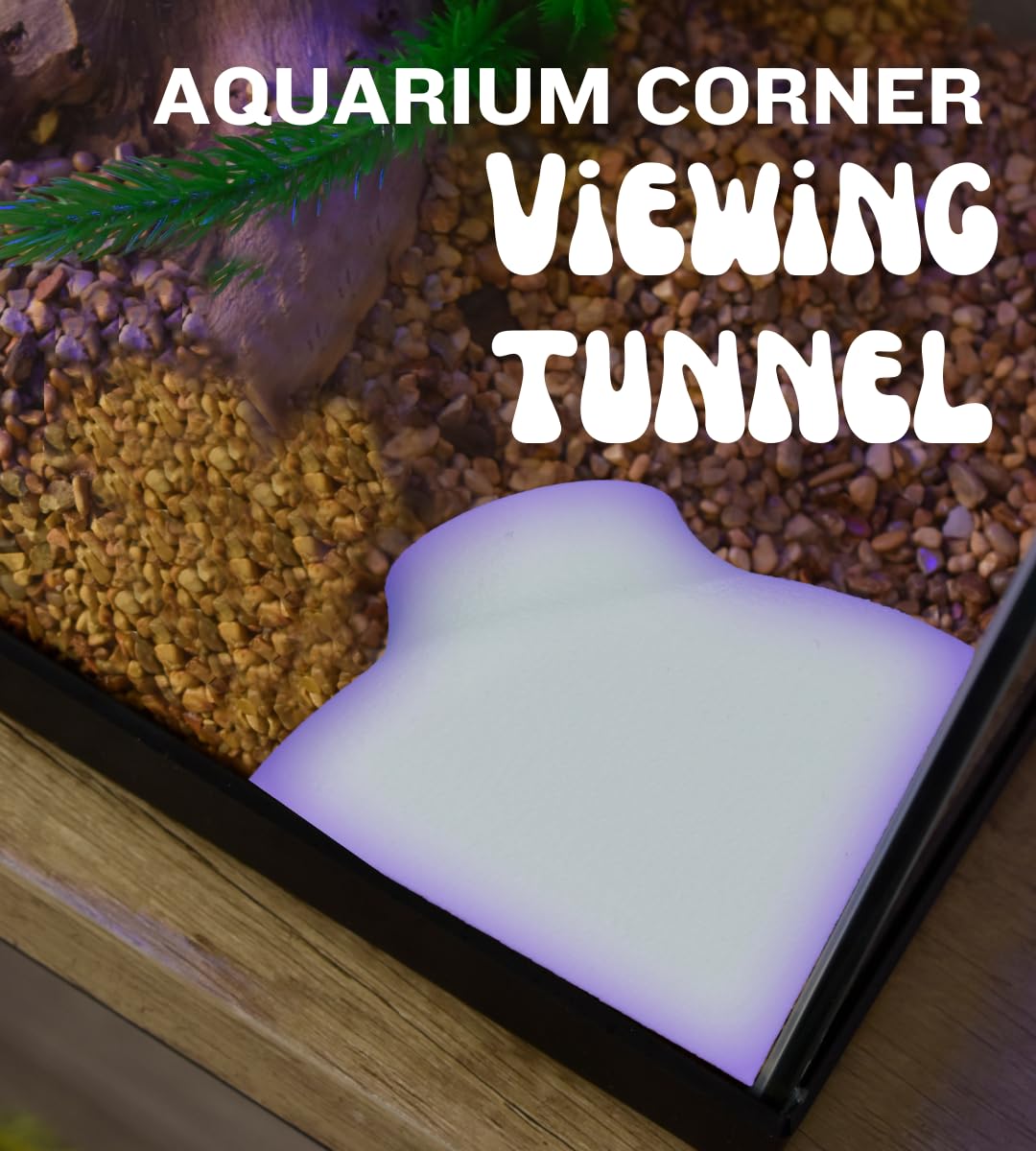 Chatelet Corner Viewing Tunnel - Parent