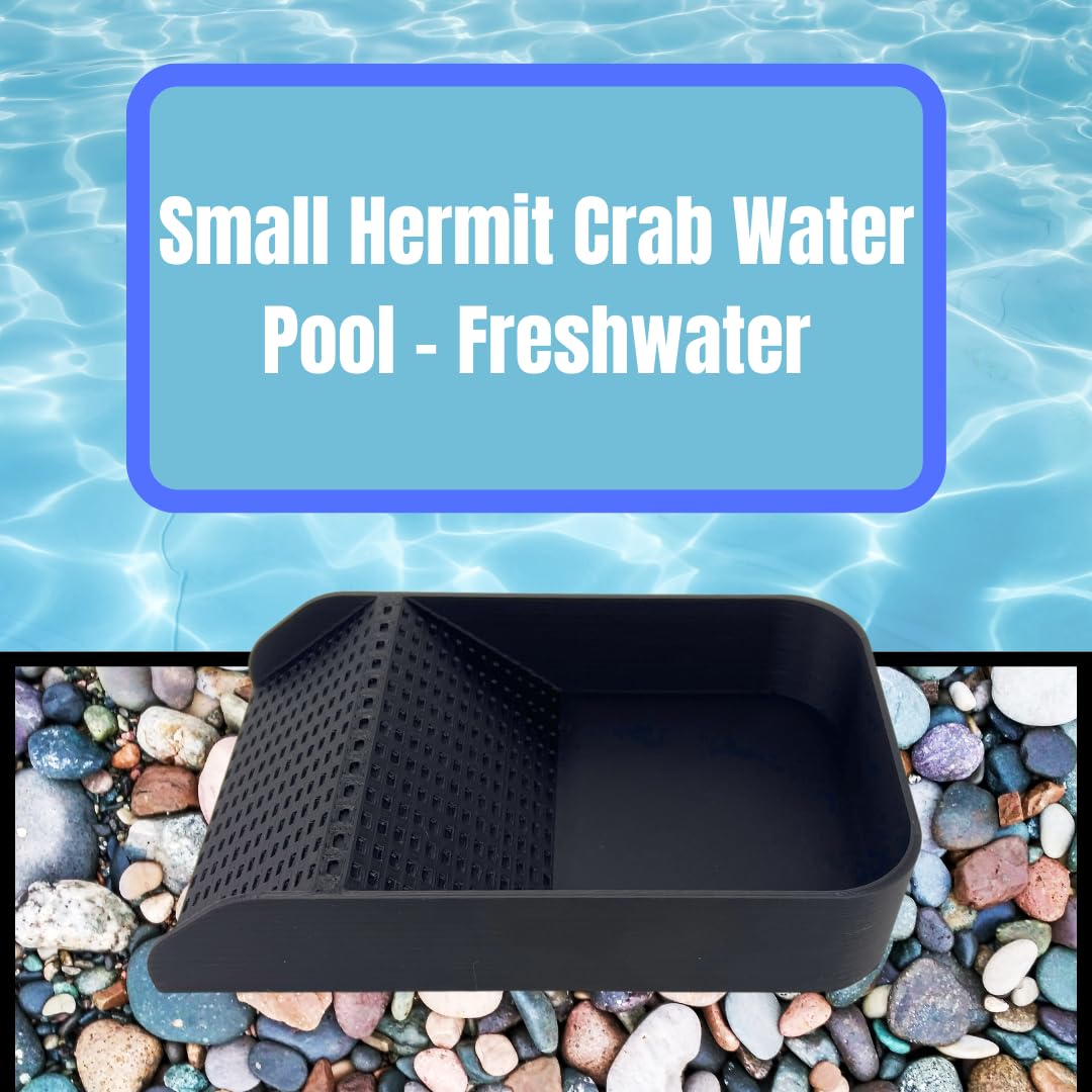Hermit Crab Watering Pool | Platform Pool Accessory with Access Ramp for Hermit Crabs | 6.5" x 4" | Made in USA
