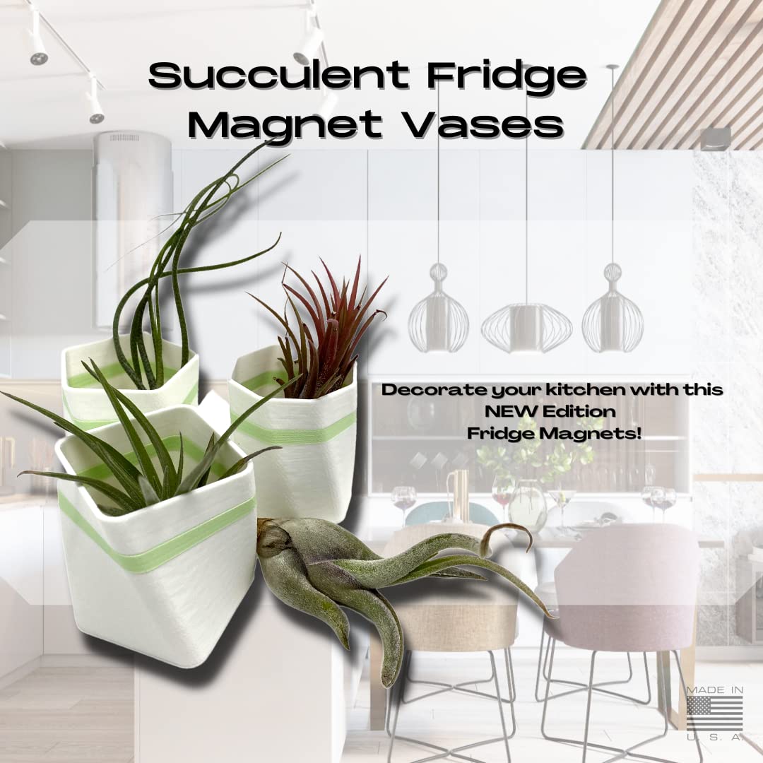 Planter Fridge Magnet Set - Ideal for Air Plants or Succulents - Set of 3 White Planters with Green Stripe - Made in The USA