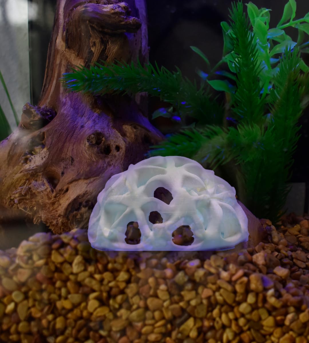 Chatelet REEFSHAPE - Dome Fish or Shrimp Aquarium Hideout | Aquarium Reef Decor & Viewing Dome | Made in USA