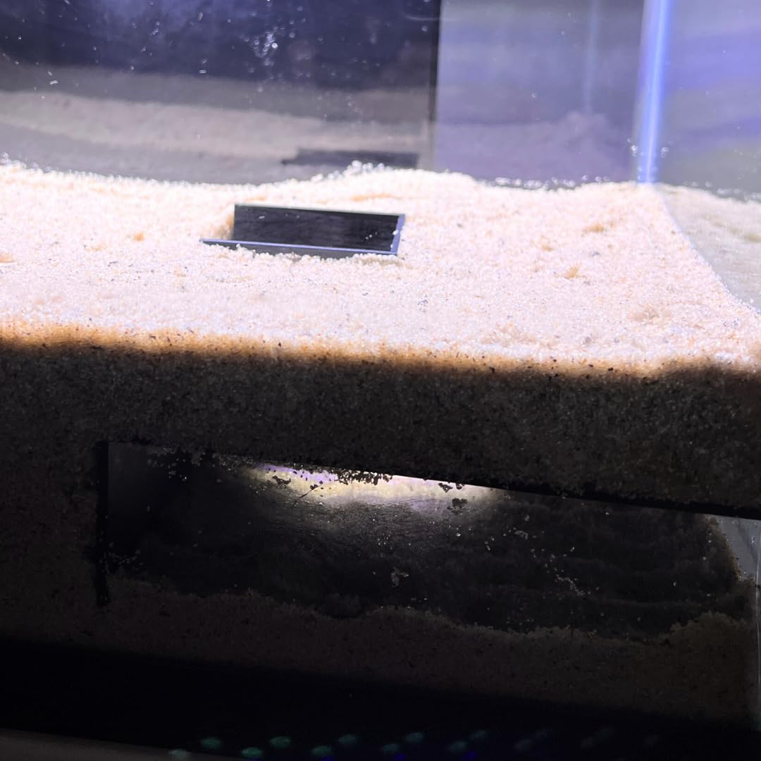 Hermit Crab Tunnel Shelter Decor | Crab Hideaway Corner Tunnel with Easy Access Ramp & Viewing Area | Made in USA