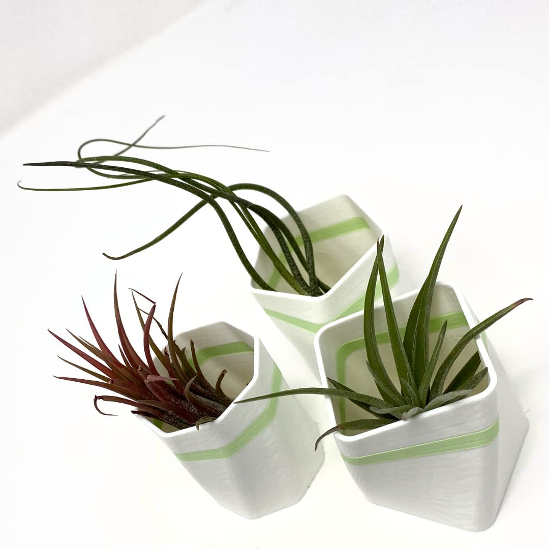Planter Fridge Magnet Set - Ideal for Air Plants or Succulents - Set of 3 White Planters with Green Stripe - Made in The USA