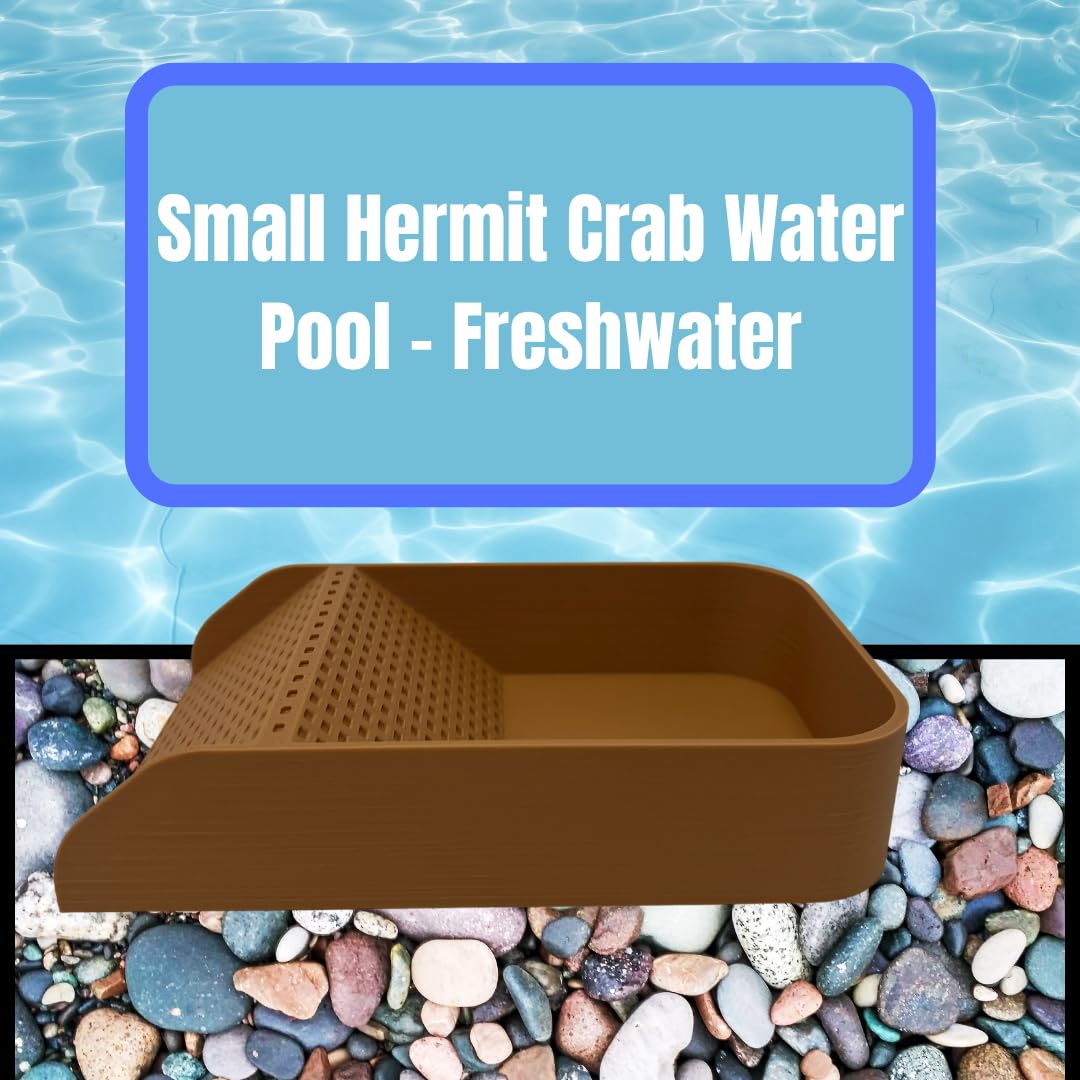 Hermit Crab Watering Pool | Platform Pool Accessory with Access Ramp for Hermit Crabs | 6.5" x 4" | Made in USA