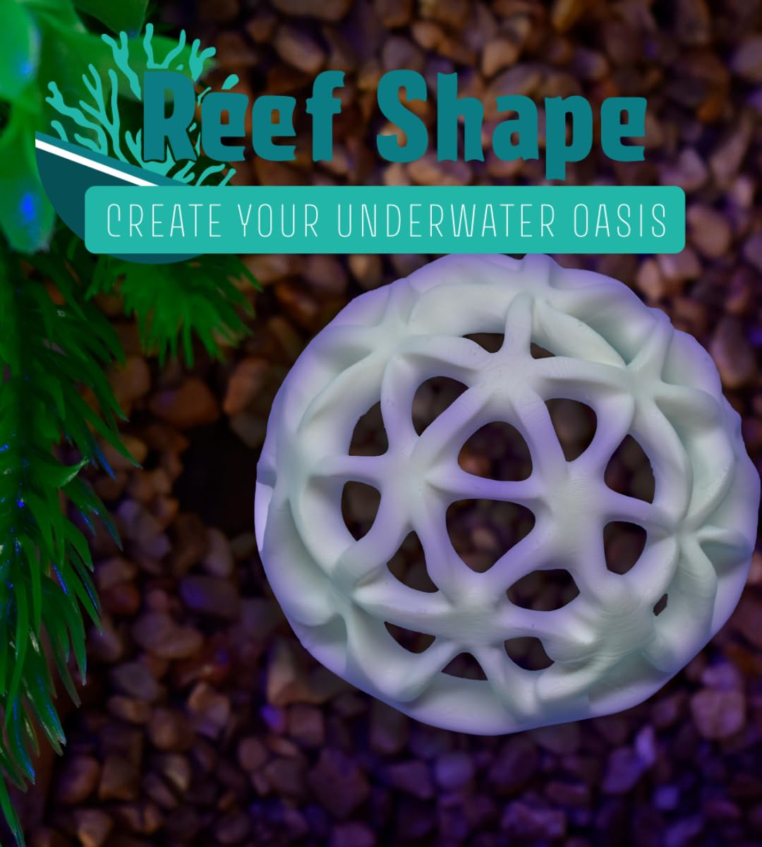 Chatelet REEFSHAPE - Dome Fish or Shrimp Aquarium Hideout | Aquarium Reef Decor & Viewing Dome | Made in USA