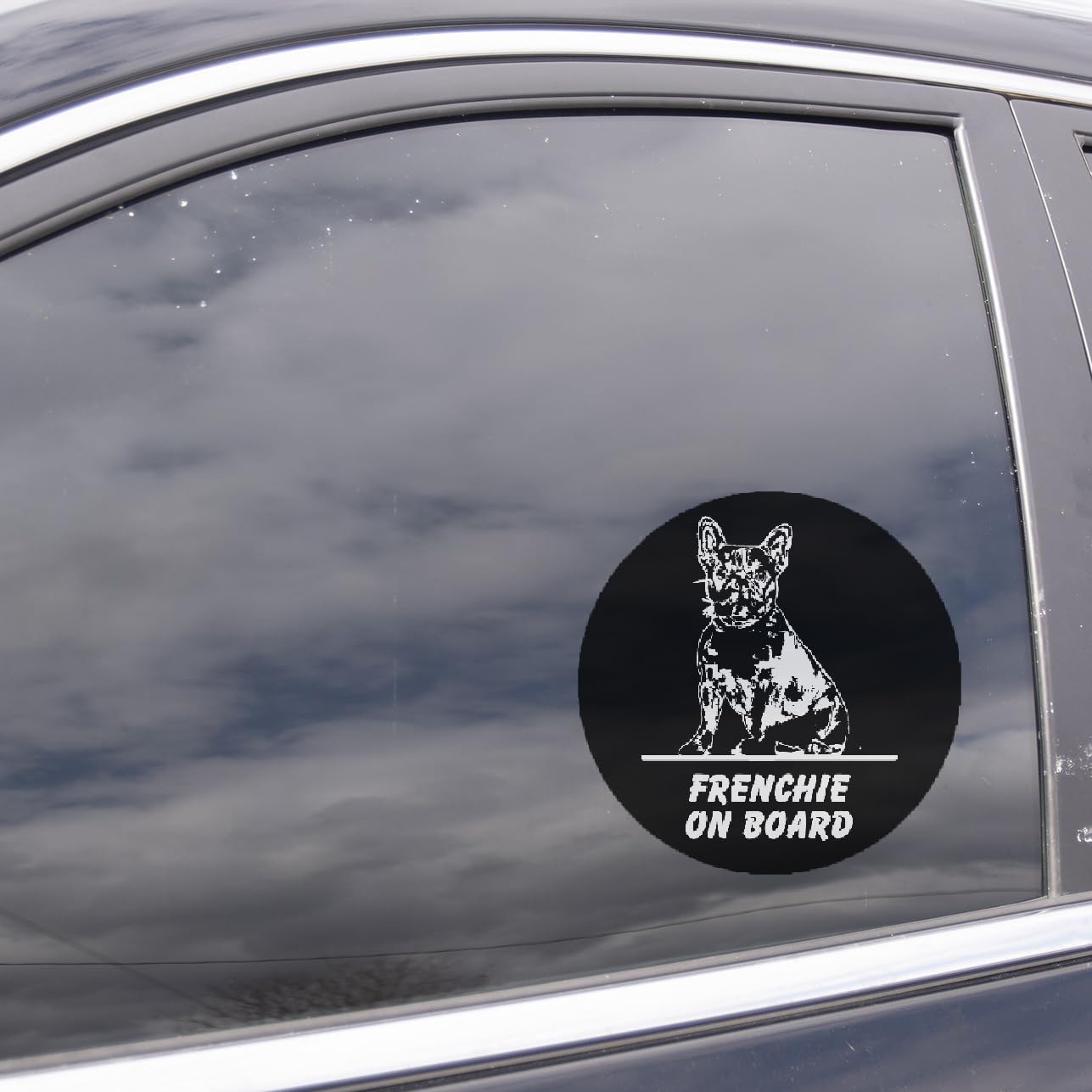 Dog on Board