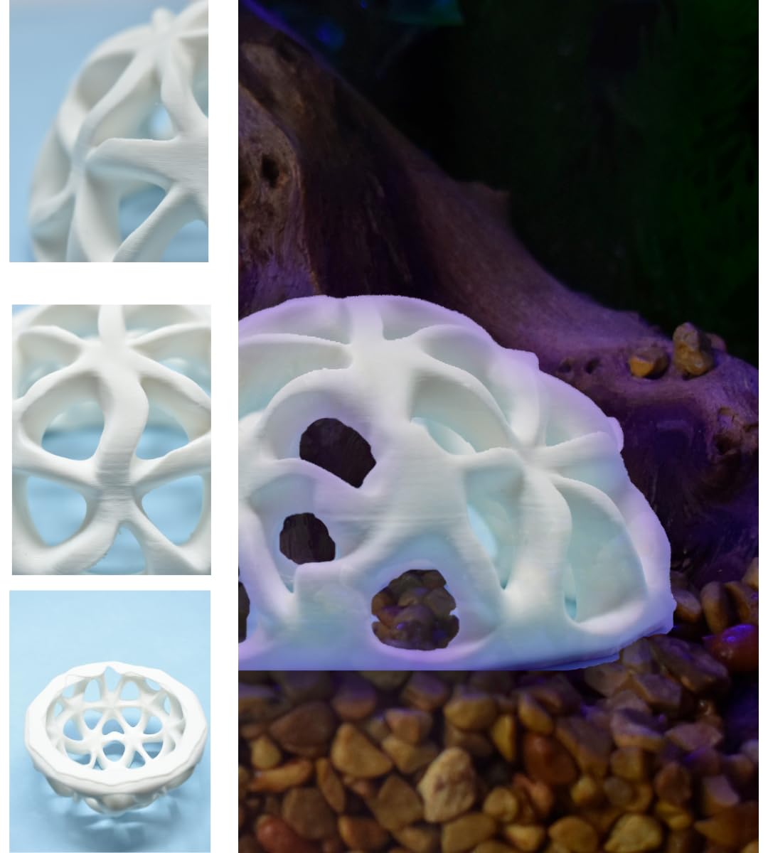 Chatelet REEFSHAPE - Dome Fish or Shrimp Aquarium Hideout | Aquarium Reef Decor & Viewing Dome | Made in USA