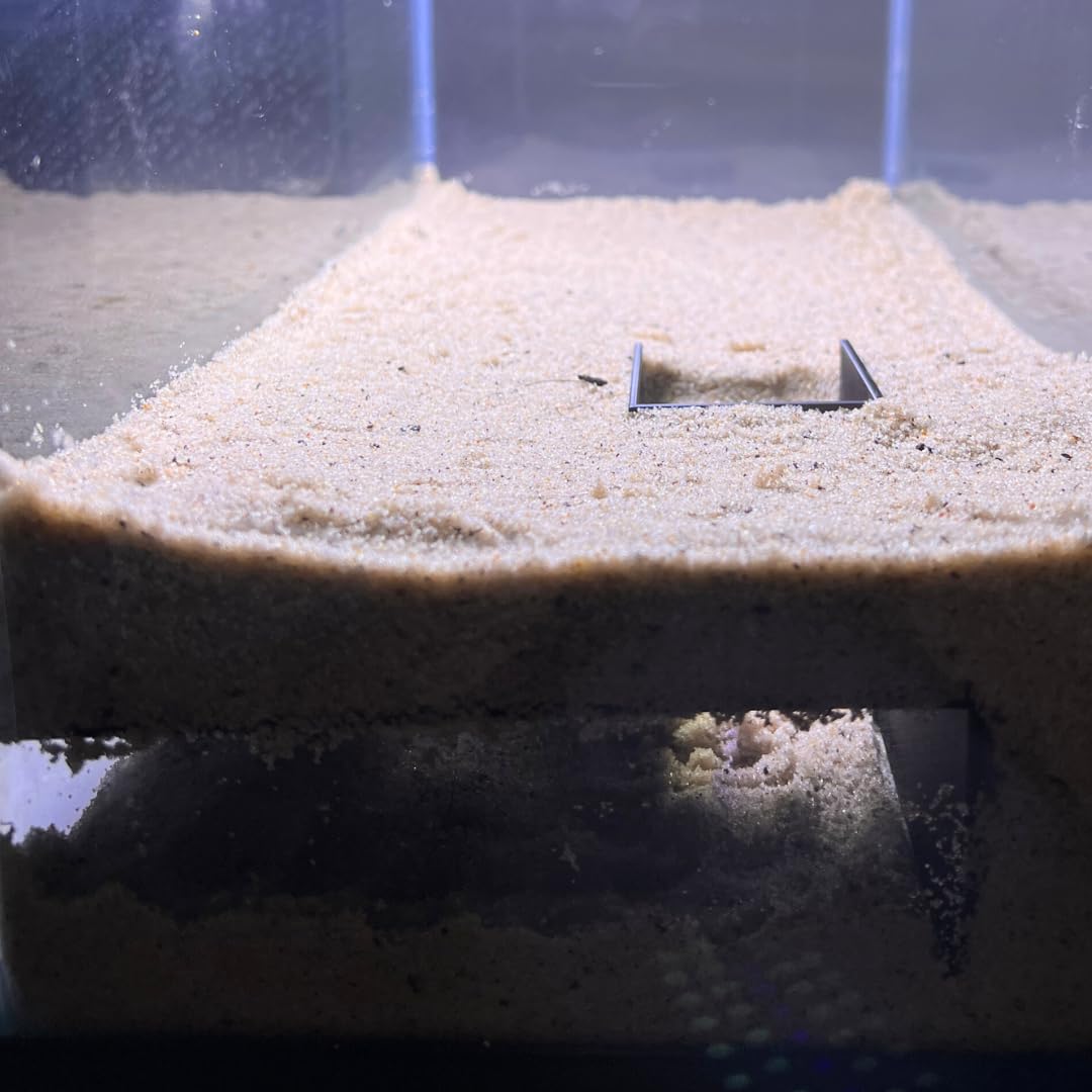 Hermit Crab Tunnel Shelter Decor | Crab Hideaway Corner Tunnel with Easy Access Ramp & Viewing Area | Made in USA