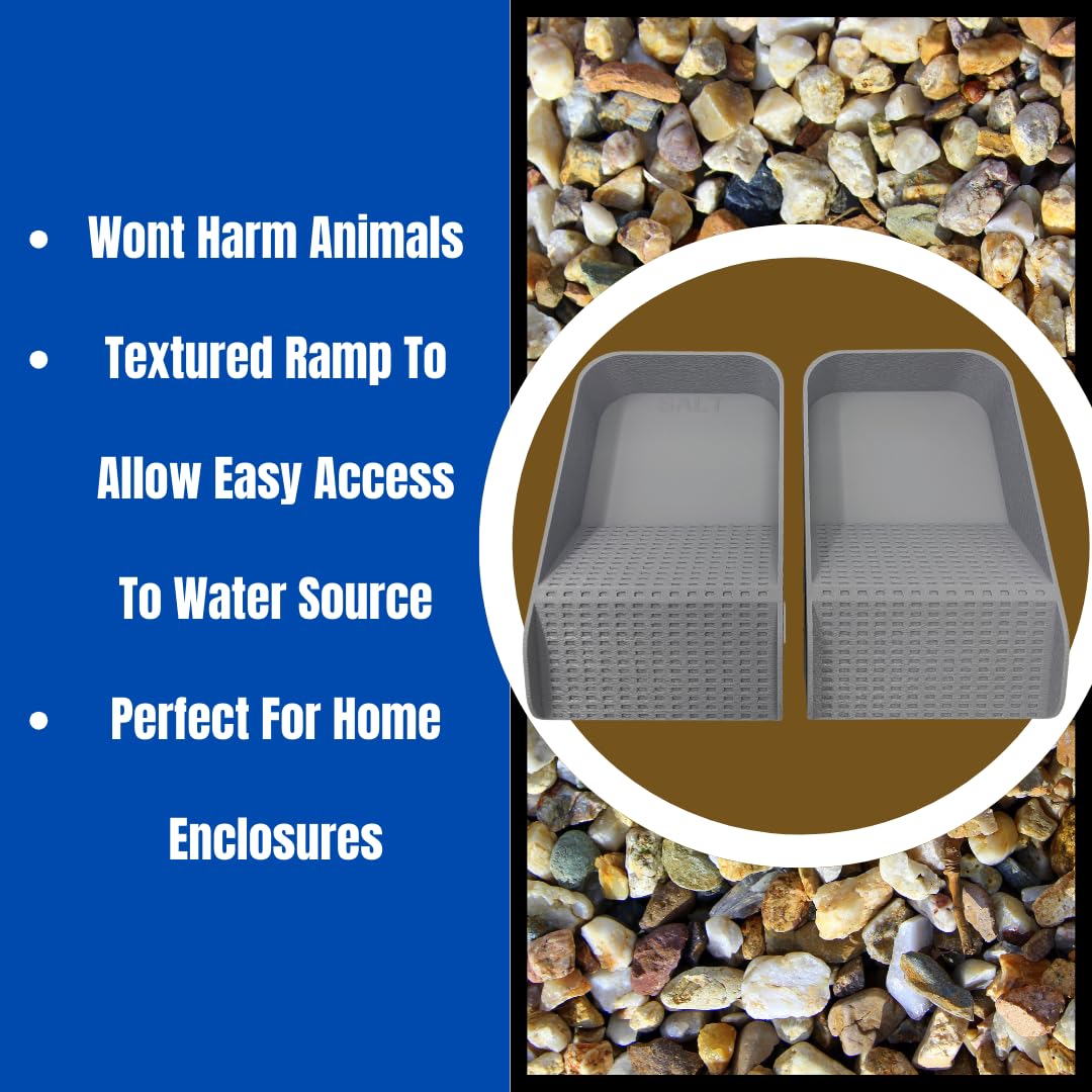 Hermit Crab Watering Pool | Platform Pool Accessory with Access Ramp for Hermit Crabs | 6.5" x 4" | Made in USA