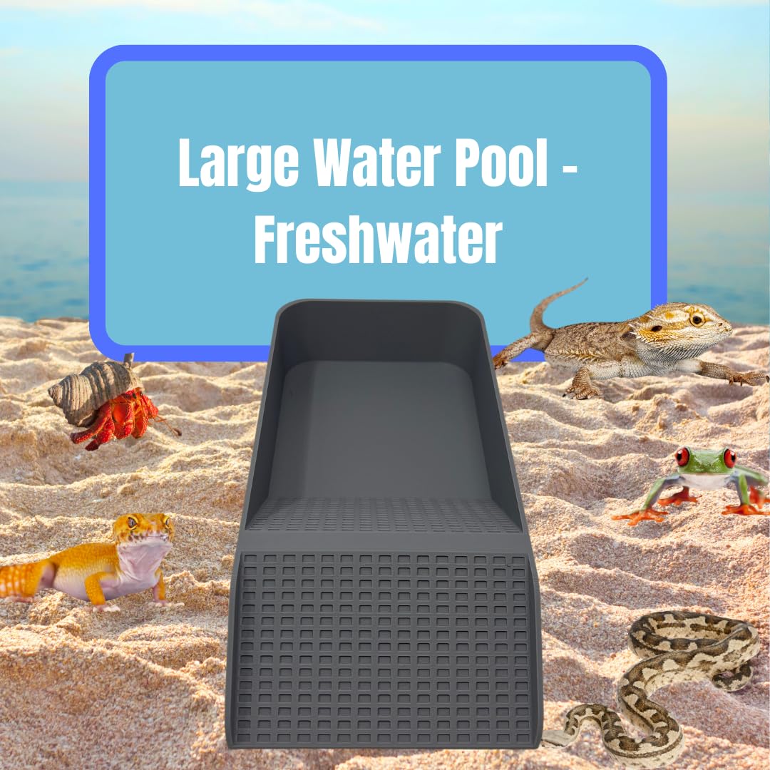 Chatelet Hermit Crab, Lizard, Turtle, Amphibian XL Watering Pool | Platform Pool Accessory with Access Ramp for Pet Habitats | 9.75" x 5" | Made in USA X-Large