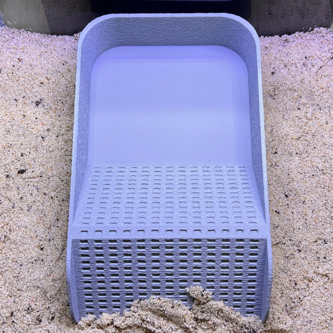 Hermit Crab Watering Pool | Platform Pool Accessory with Access Ramp for Hermit Crabs | 6.5" x 4" | Made in USA