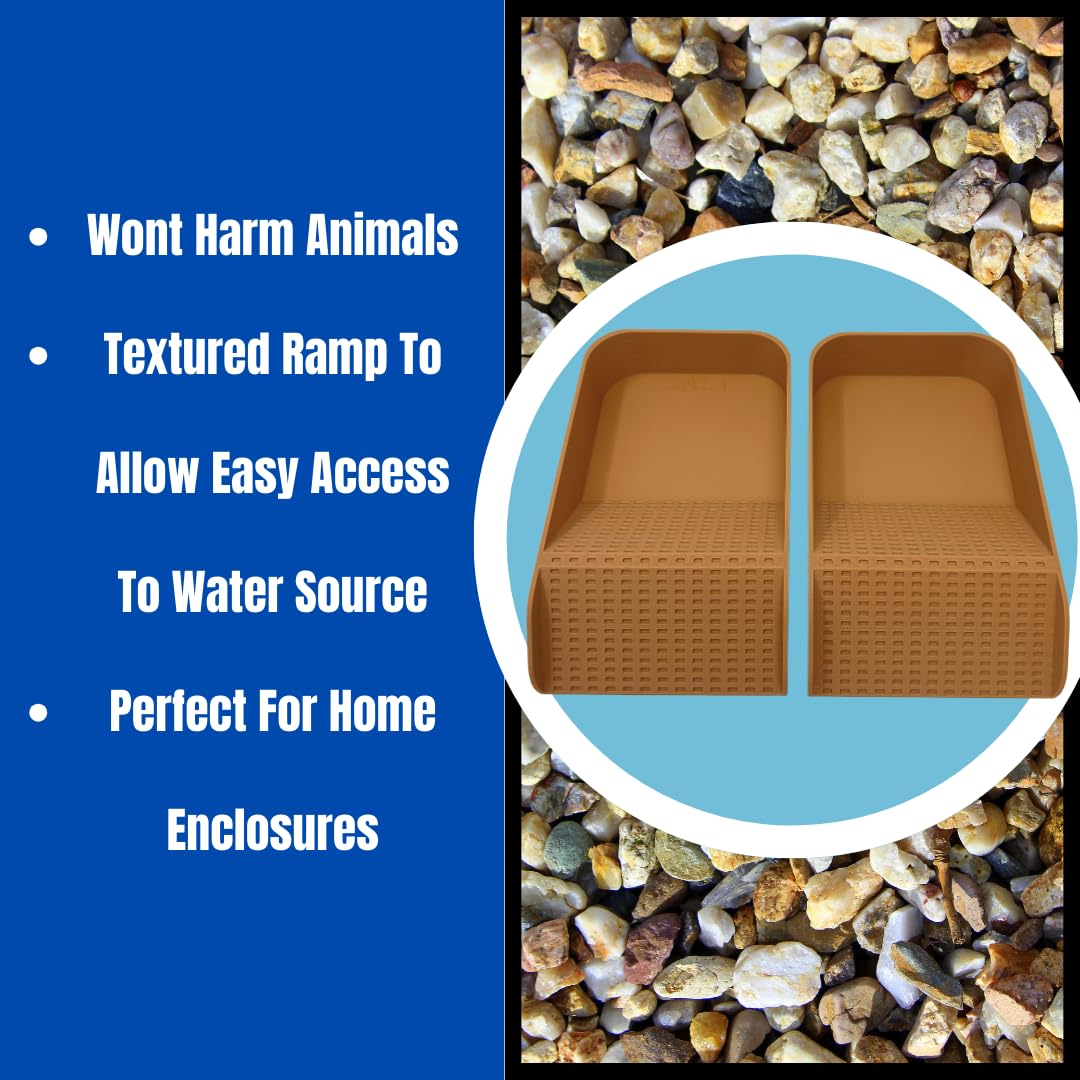 Hermit Crab Watering Pool | Platform Pool Accessory with Access Ramp for Hermit Crabs | 6.5" x 4" | Made in USA