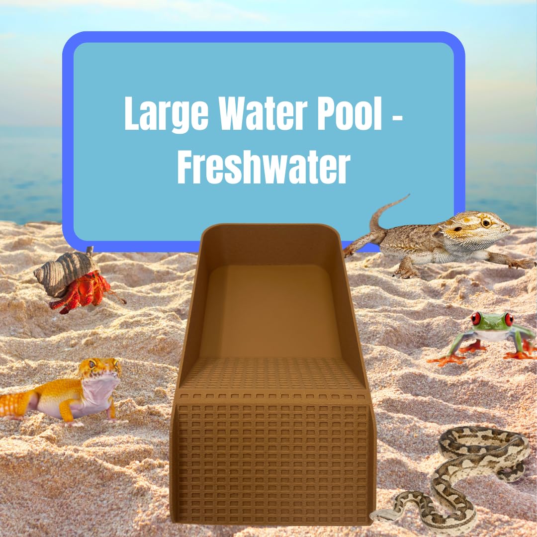 Chatelet Hermit Crab, Lizard, Turtle, Amphibian XL Watering Pool | Platform Pool Accessory with Access Ramp for Pet Habitats | 9.75" x 5" | Made in USA X-Large