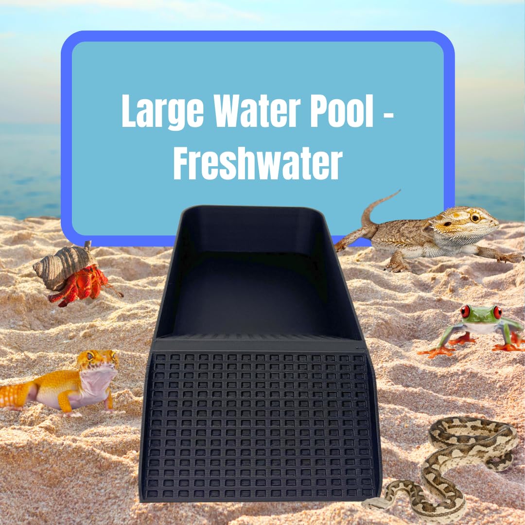Chatelet Hermit Crab, Lizard, Turtle, Amphibian XL Watering Pool | Platform Pool Accessory with Access Ramp for Pet Habitats | 9.75" x 5" | Made in USA X-Large