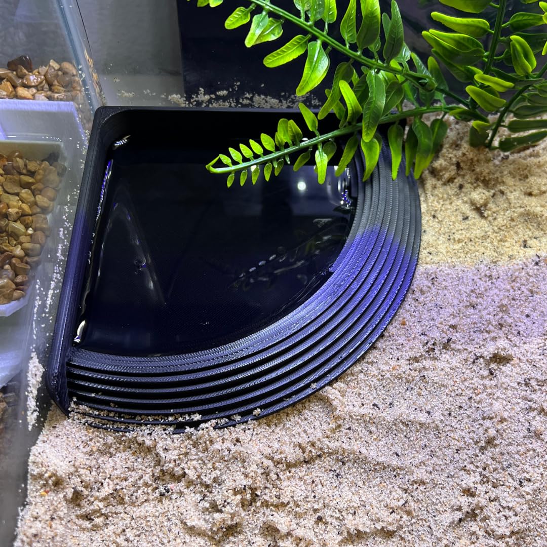 Hermit Crab Corner Pool | Watering Dish for Crabs, Frogs, Lizards | Corner Watering Pool with Ramp Access | Made in USA