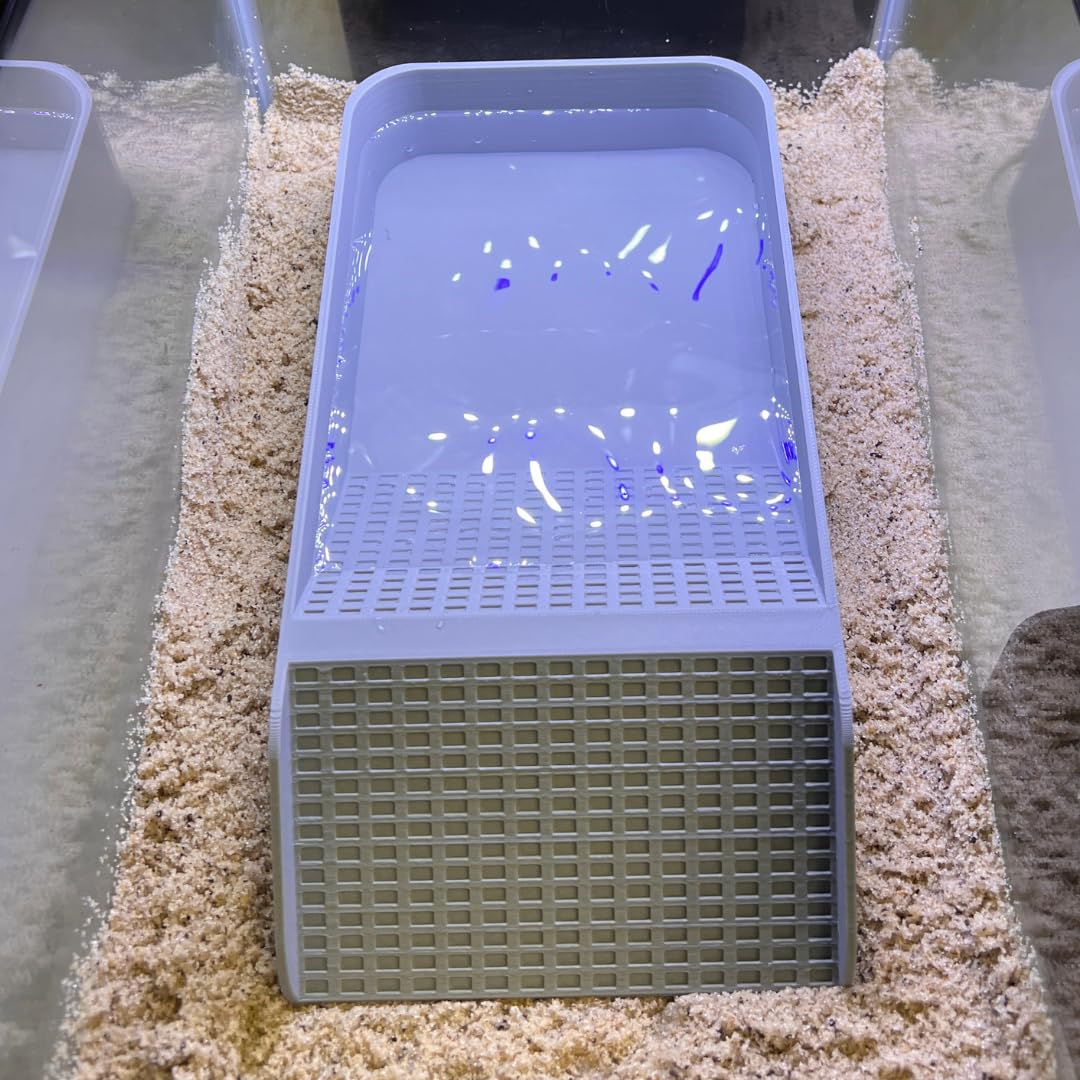 Chatelet Hermit Crab, Lizard, Turtle, Amphibian XL Watering Pool | Platform Pool Accessory with Access Ramp for Pet Habitats | 9.75" x 5" | Made in USA X-Large