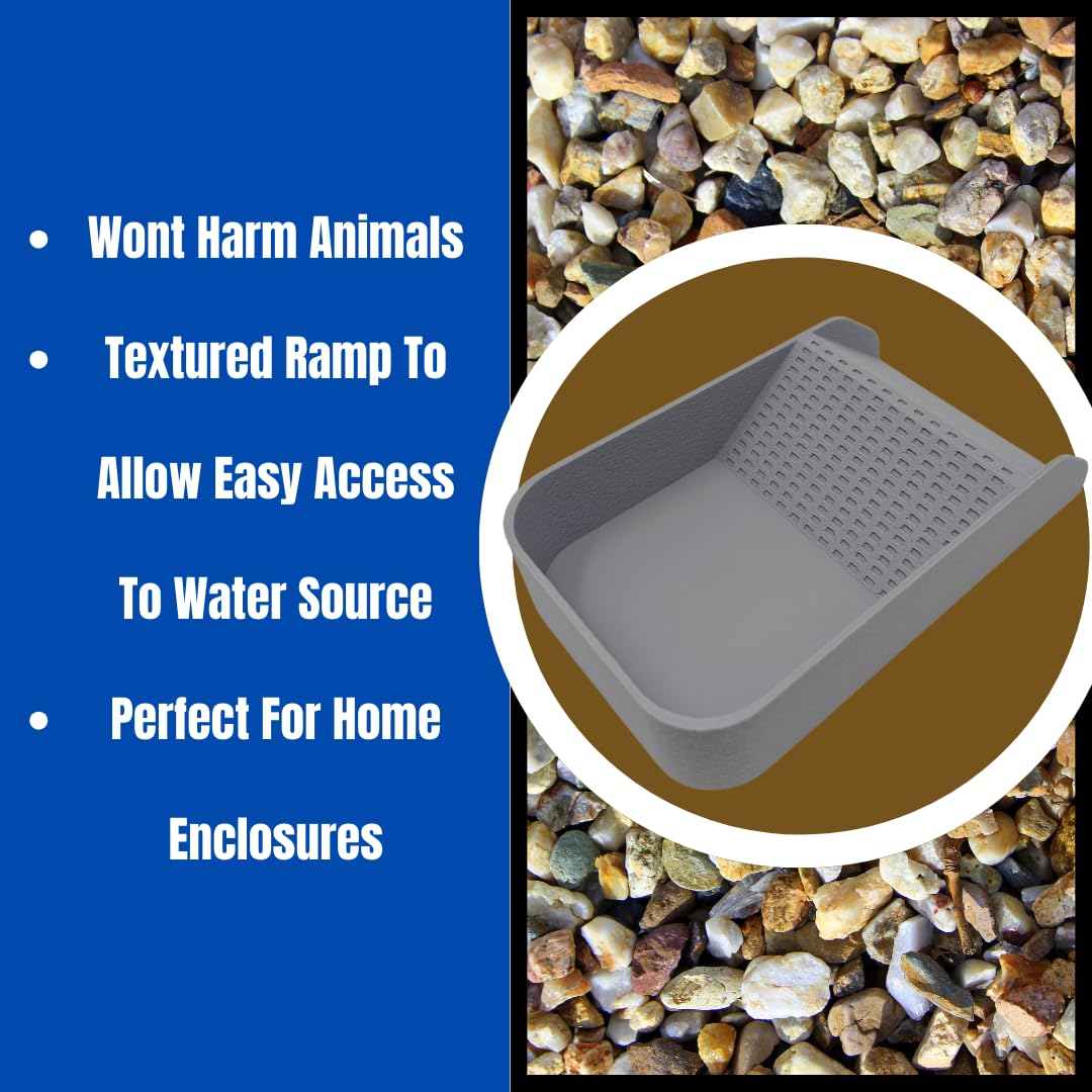 Hermit Crab Watering Pool | Platform Pool Accessory with Access Ramp for Hermit Crabs | 6.5" x 4" | Made in USA