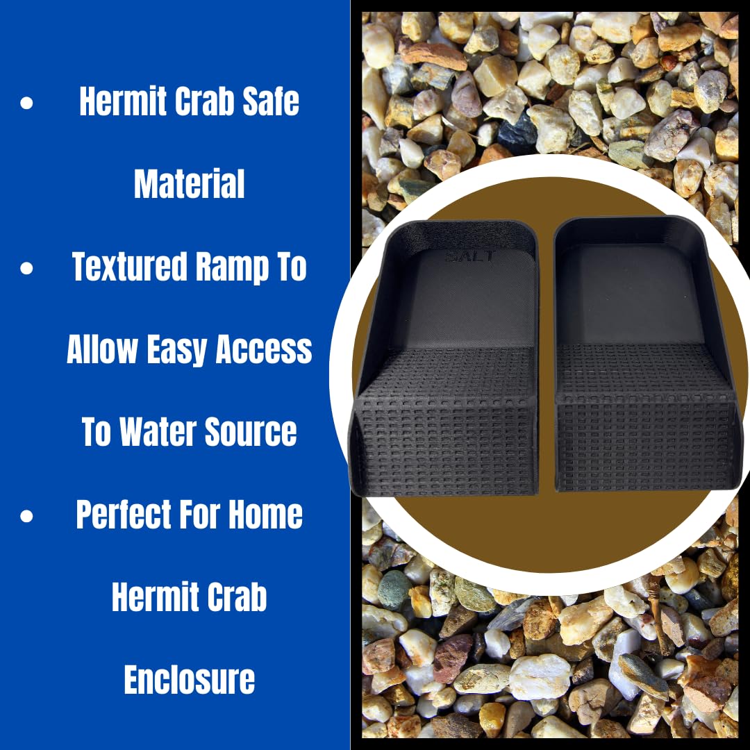 Hermit Crab Watering Pool | Platform Pool Accessory with Access Ramp for Hermit Crabs | 6.5" x 4" | Made in USA