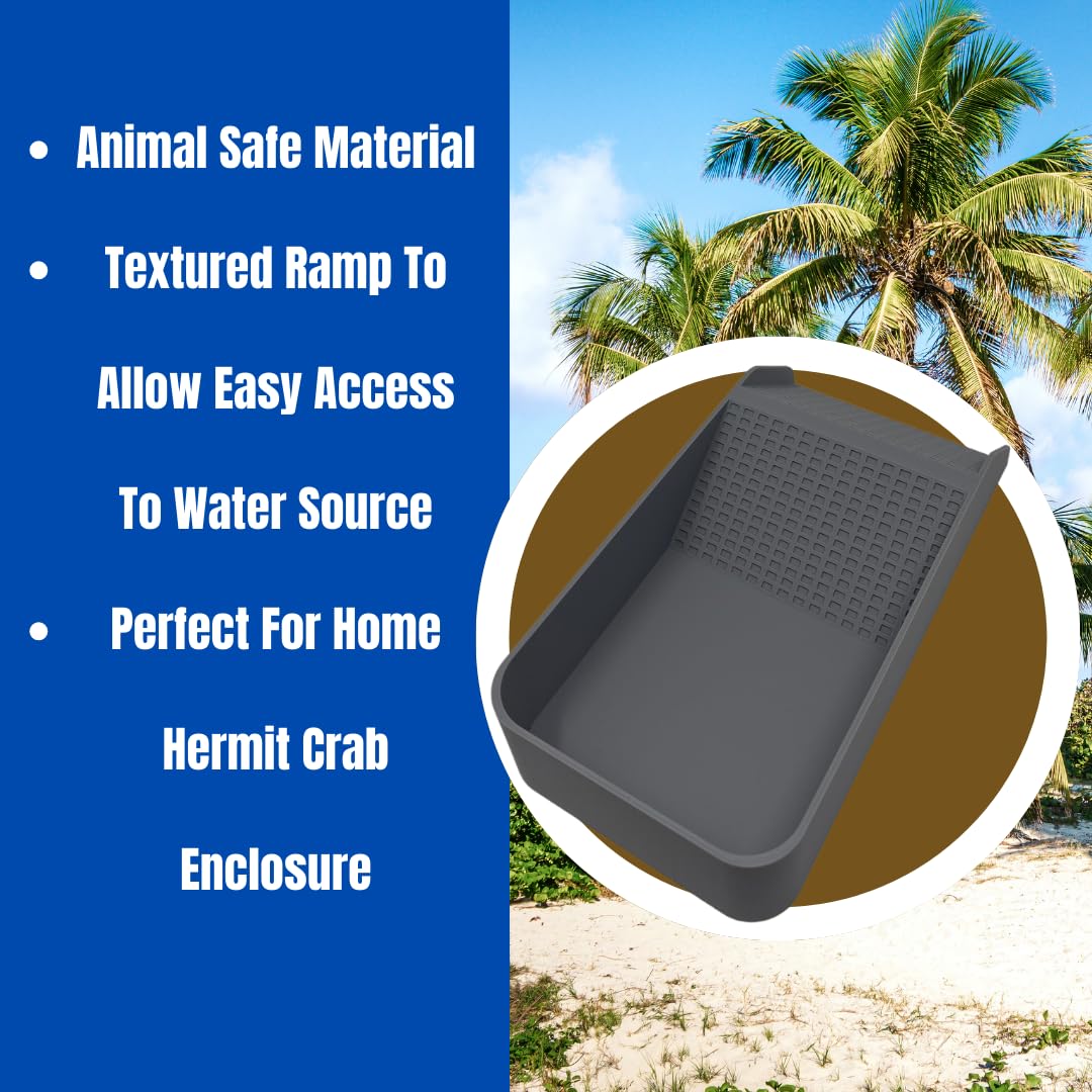 Chatelet Hermit Crab, Lizard, Turtle, Amphibian XL Watering Pool | Platform Pool Accessory with Access Ramp for Pet Habitats | 9.75" x 5" | Made in USA X-Large