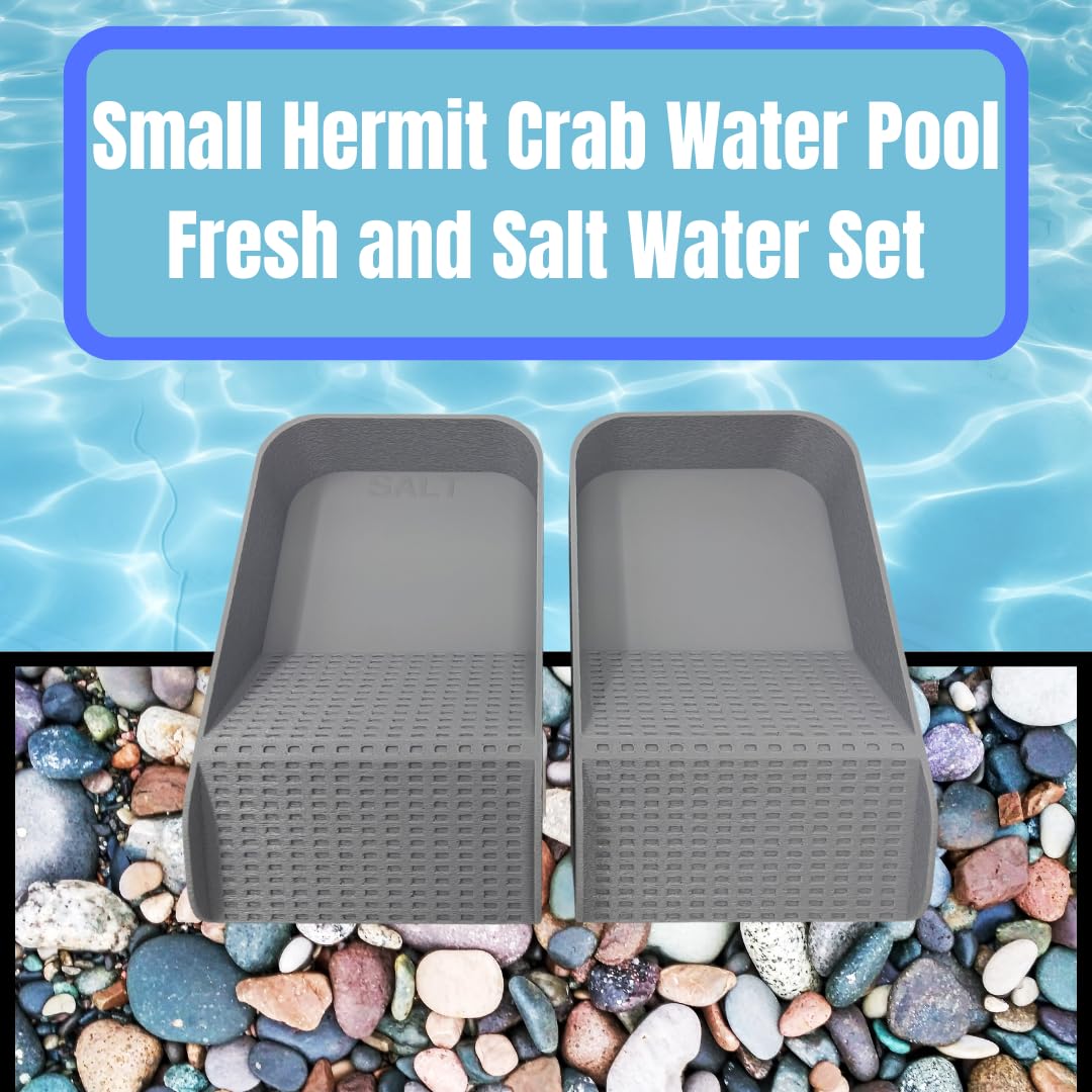 Hermit Crab Watering Pool | Platform Pool Accessory with Access Ramp for Hermit Crabs | 6.5" x 4" | Made in USA