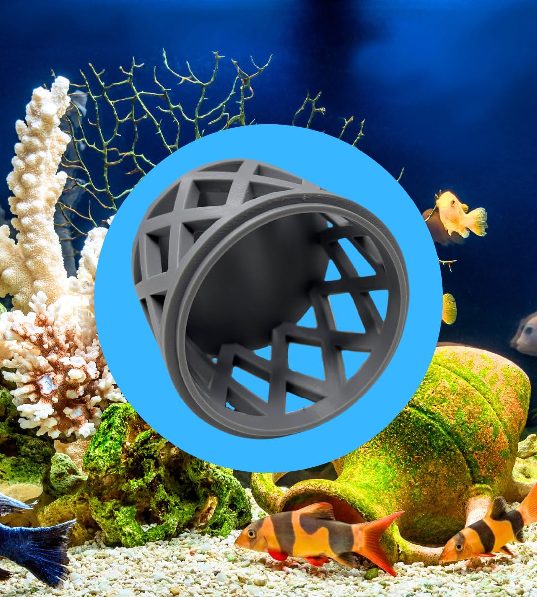 REEFSHAPE Aquarium Mushroom Coral Cage | Protects Coral or Anemones | Open Design Allows Water Pass-Through | Made in USA