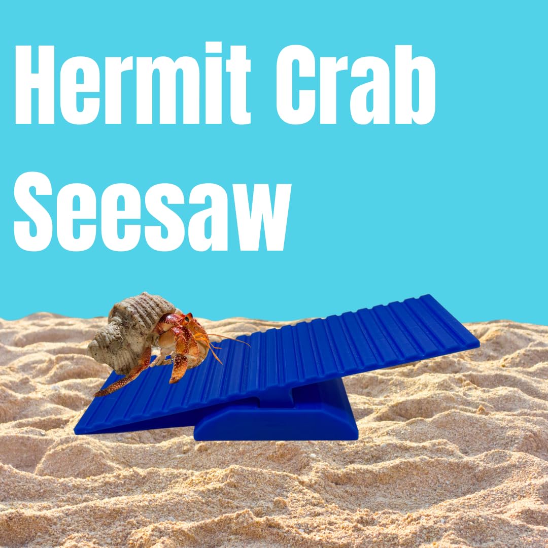 Hermit Crab See-Saw Decor | Fun & Entertaining See-Saw Decoration for Hermit Crab Cages | Made in USA