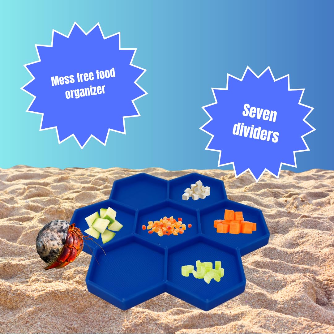 Hermit Crab Feeder Dish | 7 Tray Dish for Crab or Snail Feeding | Mix & Match Crab Food | Made in USA