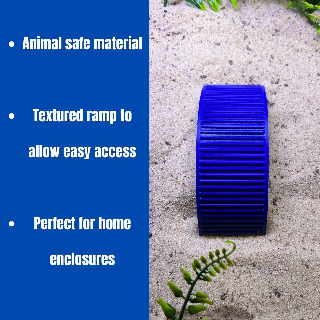 Climbing Bridge for Hermit Crabs, Lizards, Amphibians, Reptiles Terrariums | Toy Bridge Decor for Climbing & Exploring | Made in USA