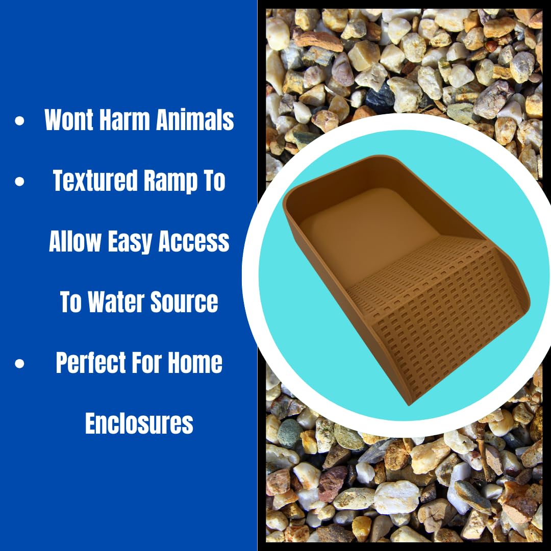 Hermit Crab Watering Pool | Platform Pool Accessory with Access Ramp for Hermit Crabs | 6.5" x 4" | Made in USA