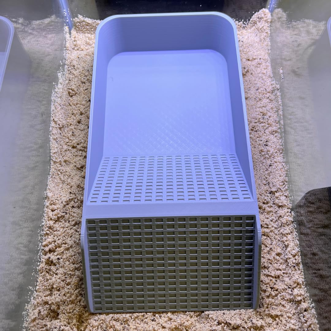 Chatelet Hermit Crab, Lizard, Turtle, Amphibian XL Watering Pool | Platform Pool Accessory with Access Ramp for Pet Habitats | 9.75" x 5" | Made in USA X-Large