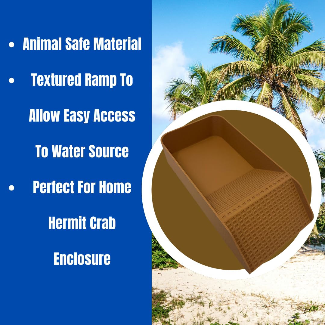 Chatelet Hermit Crab, Lizard, Turtle, Amphibian XL Watering Pool | Platform Pool Accessory with Access Ramp for Pet Habitats | 9.75" x 5" | Made in USA X-Large