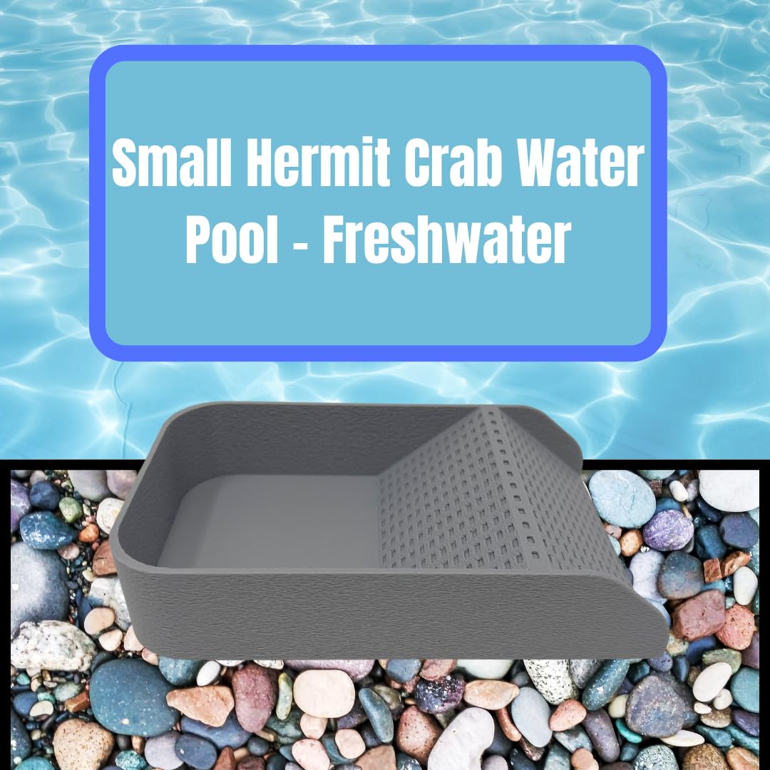 Hermit Crab Watering Pool | Platform Pool Accessory with Access Ramp for Hermit Crabs | 6.5" x 4" | Made in USA