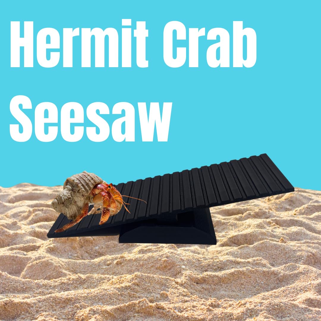 Hermit Crab See-Saw Decor | Fun & Entertaining See-Saw Decoration for Hermit Crab Cages | Made in USA